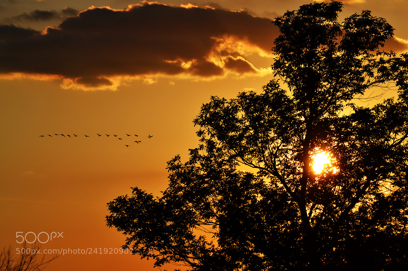 Nikon D3100 sample photo. Canadian sunset photography