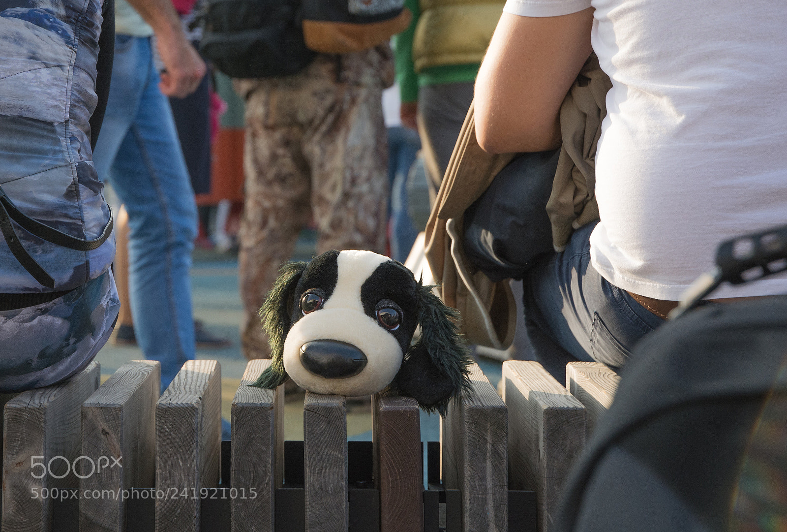 Nikon D7100 sample photo. *** photography