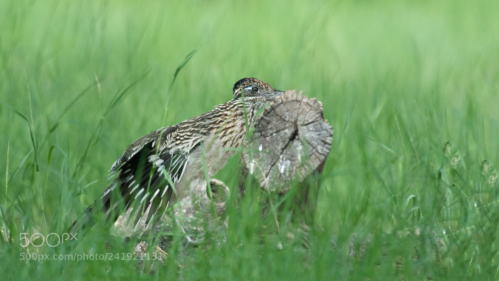 Nikon D7100 sample photo. And then photography