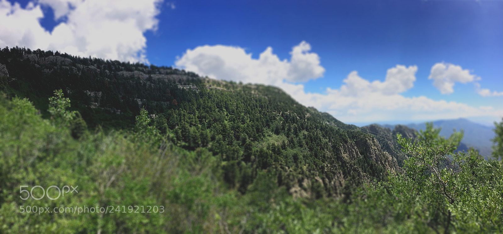 Apple iPhone 6s sample photo. Views from the sandia photography