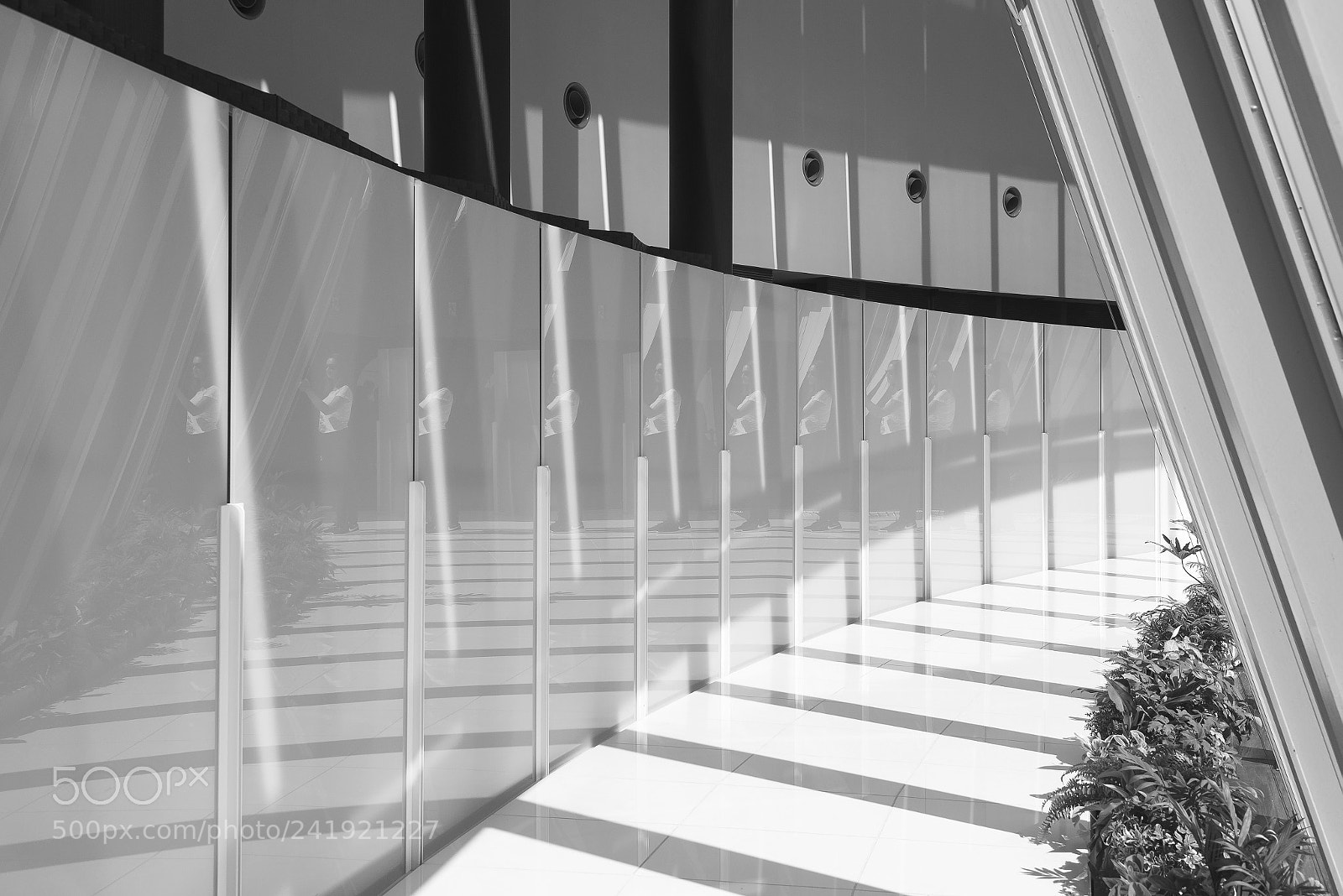 Nikon D600 sample photo. Multiplying effect photography