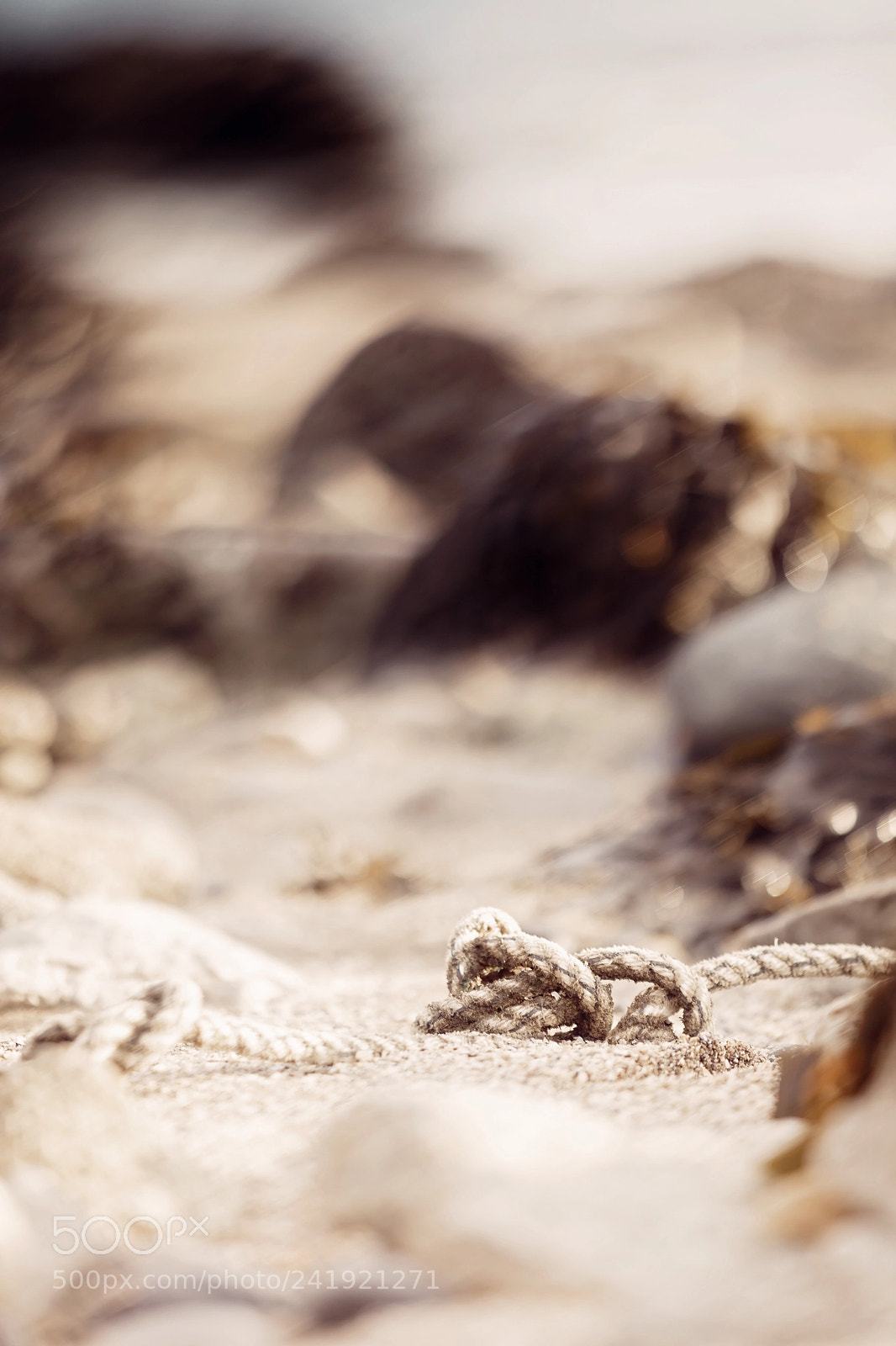 Canon EOS 5DS sample photo. Salvation photography