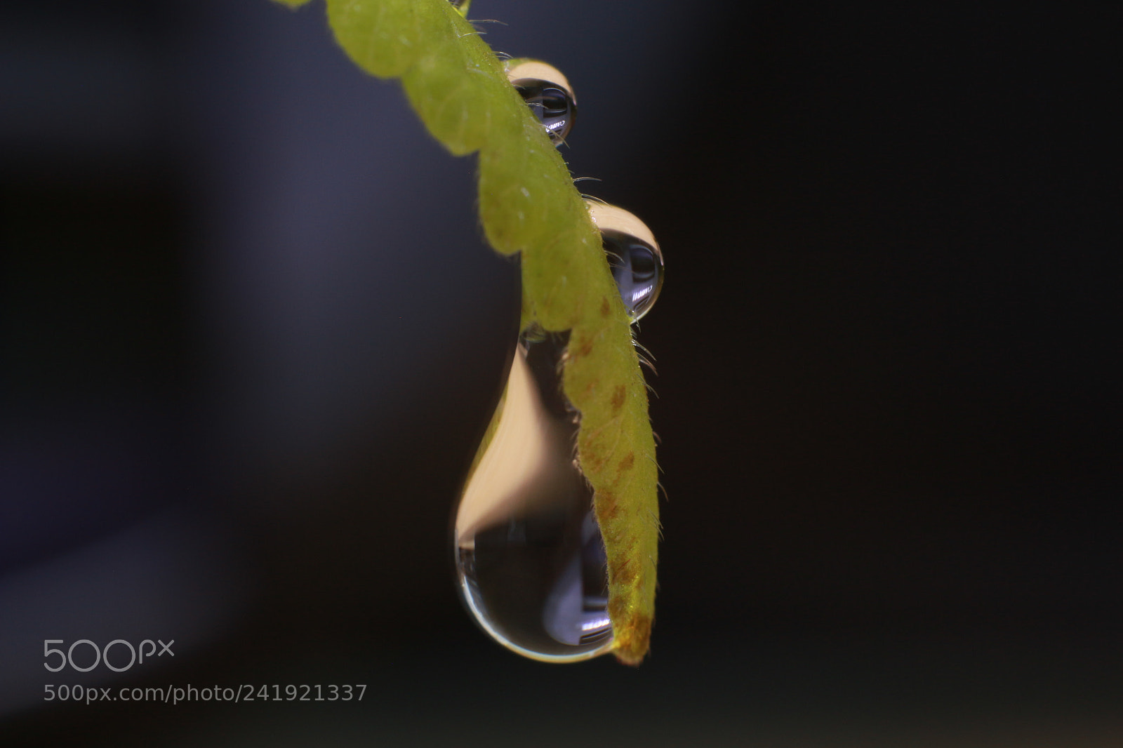 Canon EOS 700D (EOS Rebel T5i / EOS Kiss X7i) + Canon EF 50mm F1.8 STM sample photo. Water photography