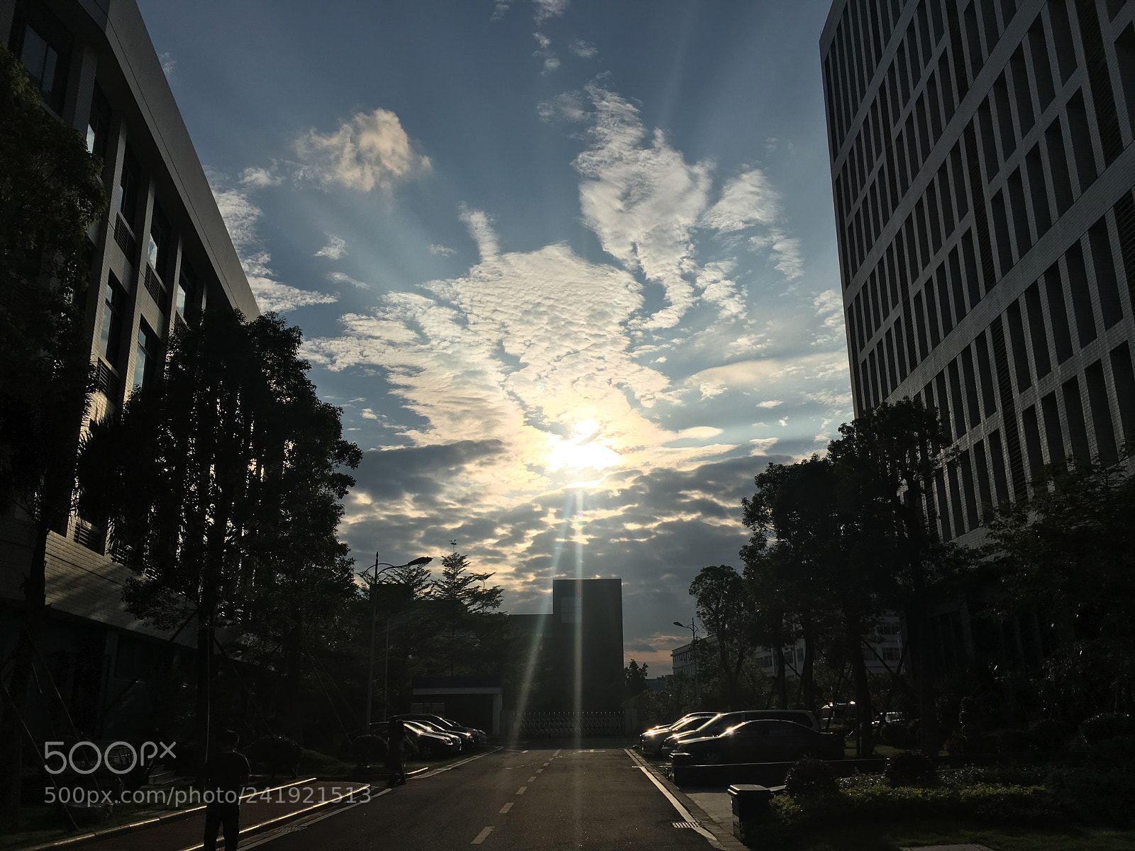 Apple iPhone 6s sample photo. 阳光～ photography