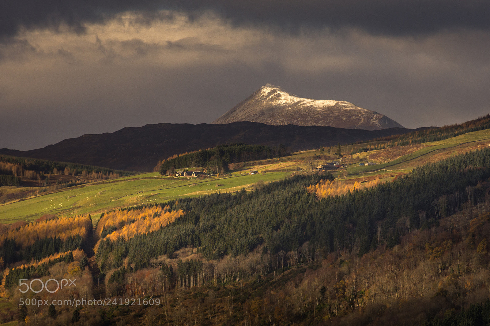 Nikon D7200 sample photo. Schiehallion. photography