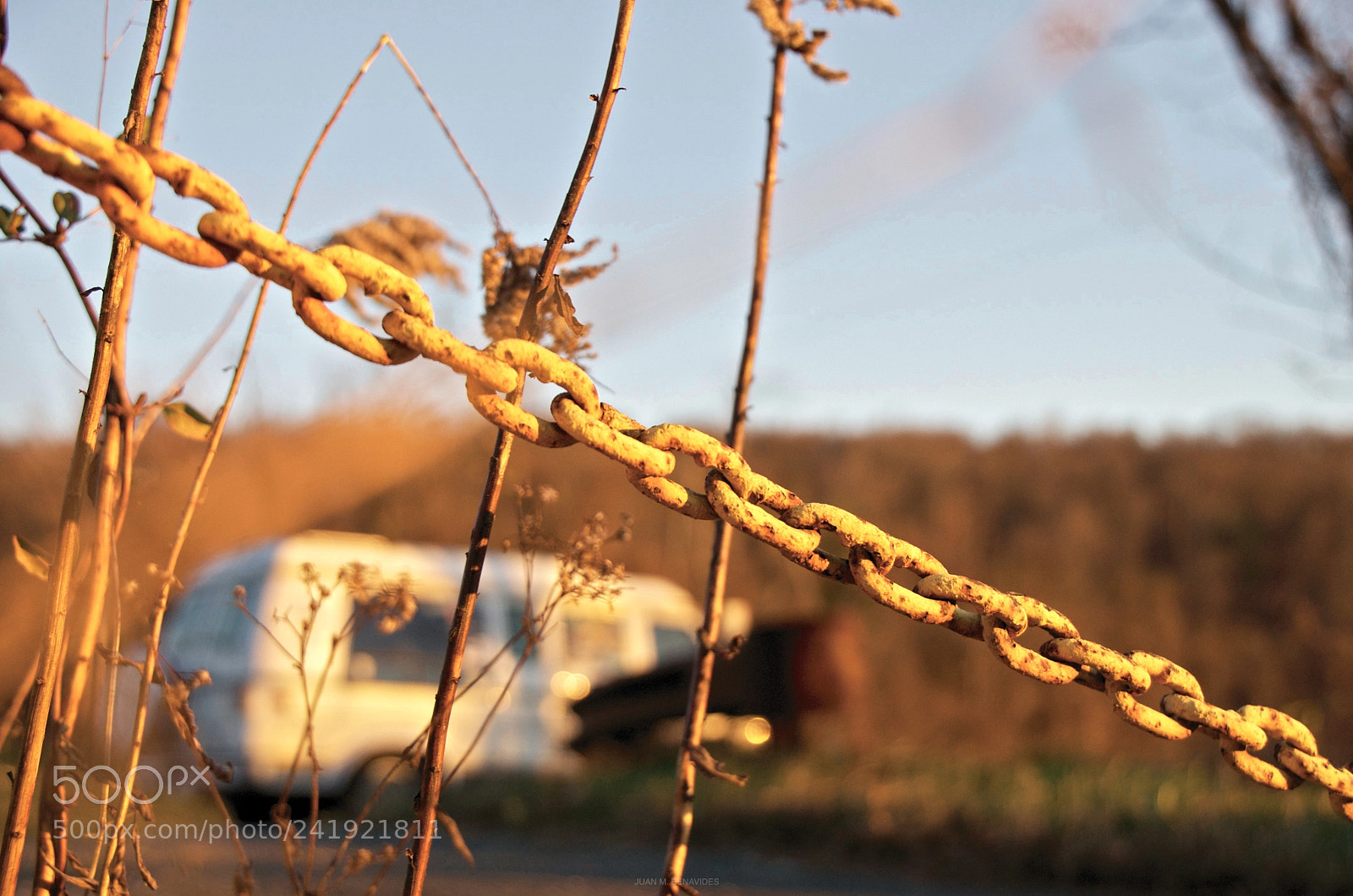 Nikon D300 sample photo. Untitled photography