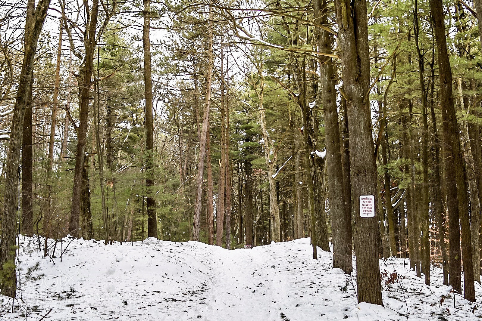 Nikon D7200 sample photo. Over the hill photography