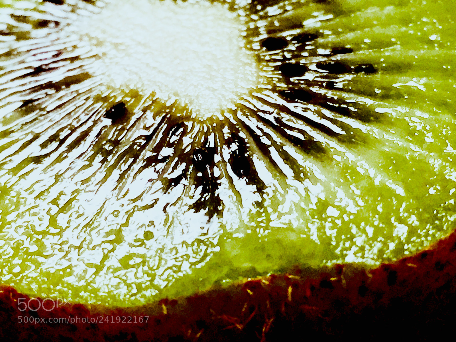 Apple iPhone 6 sample photo. A kiwi fruit photography