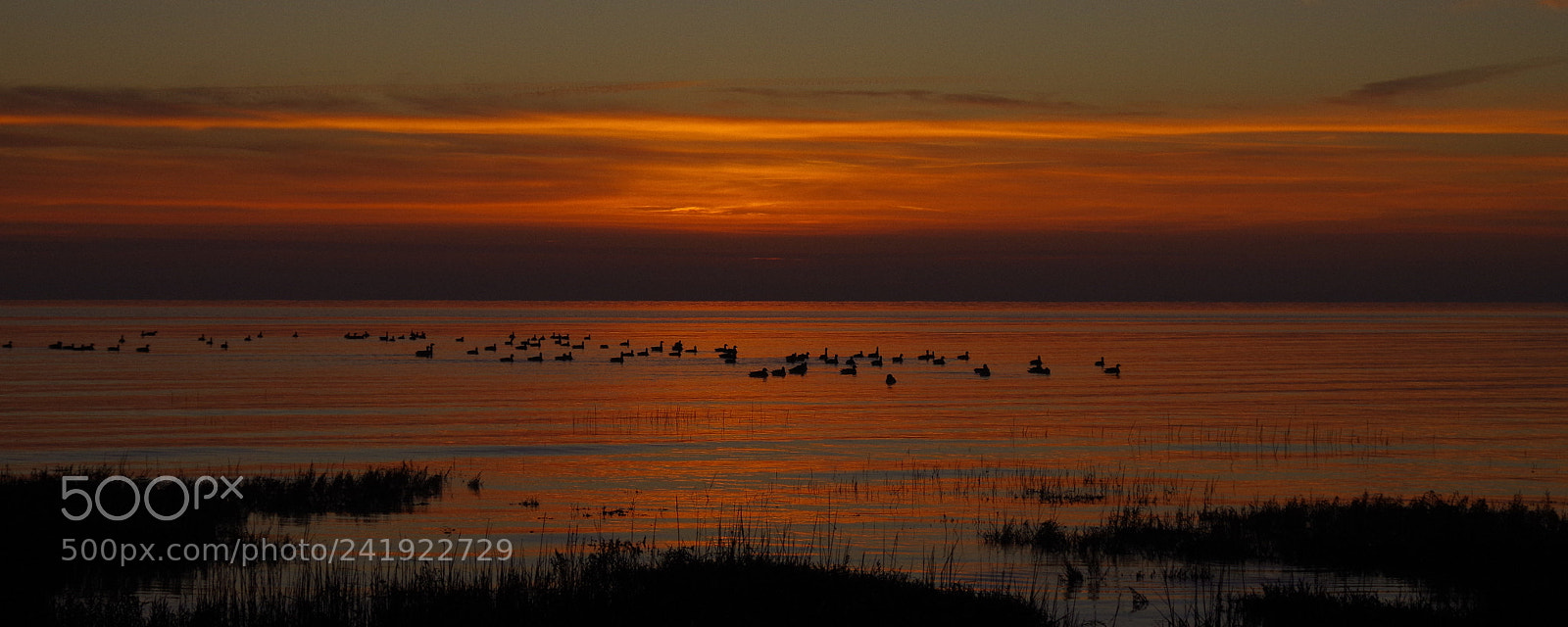 Pentax K-30 sample photo. Serenity photography