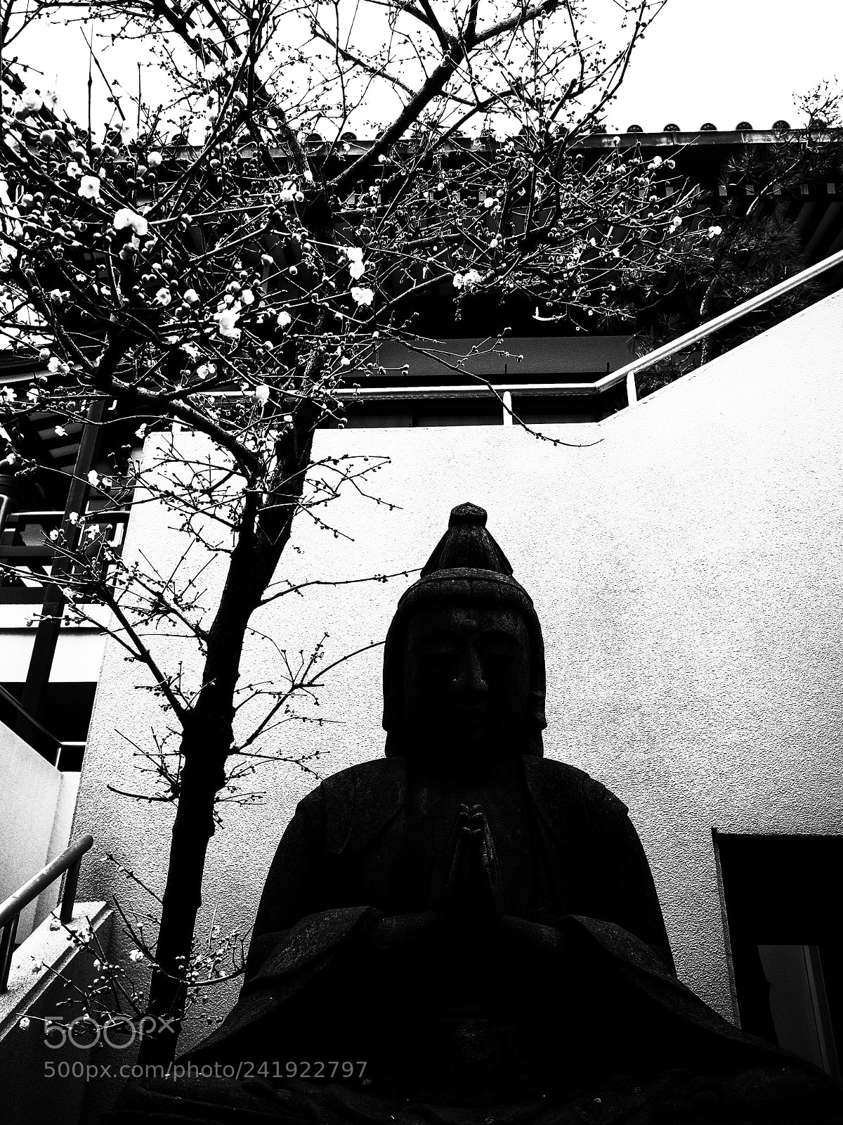 Ricoh GR II sample photo. Untitled photography