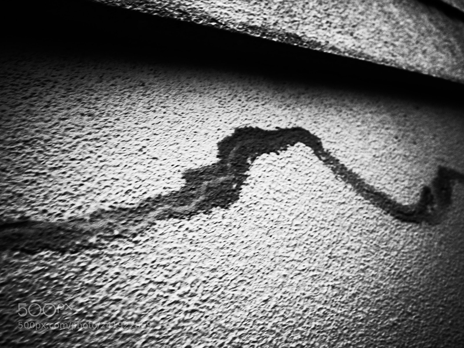 Ricoh GR II sample photo. Untitled photography