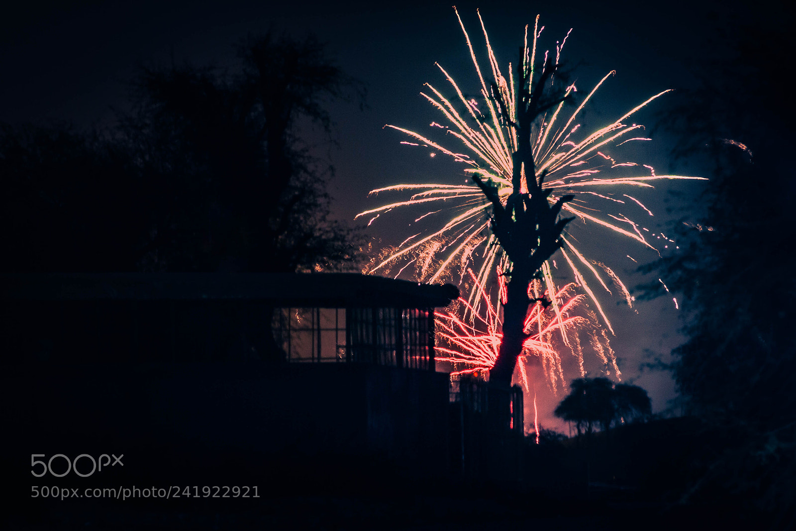 Canon EOS 60D sample photo. New year 2018 photography