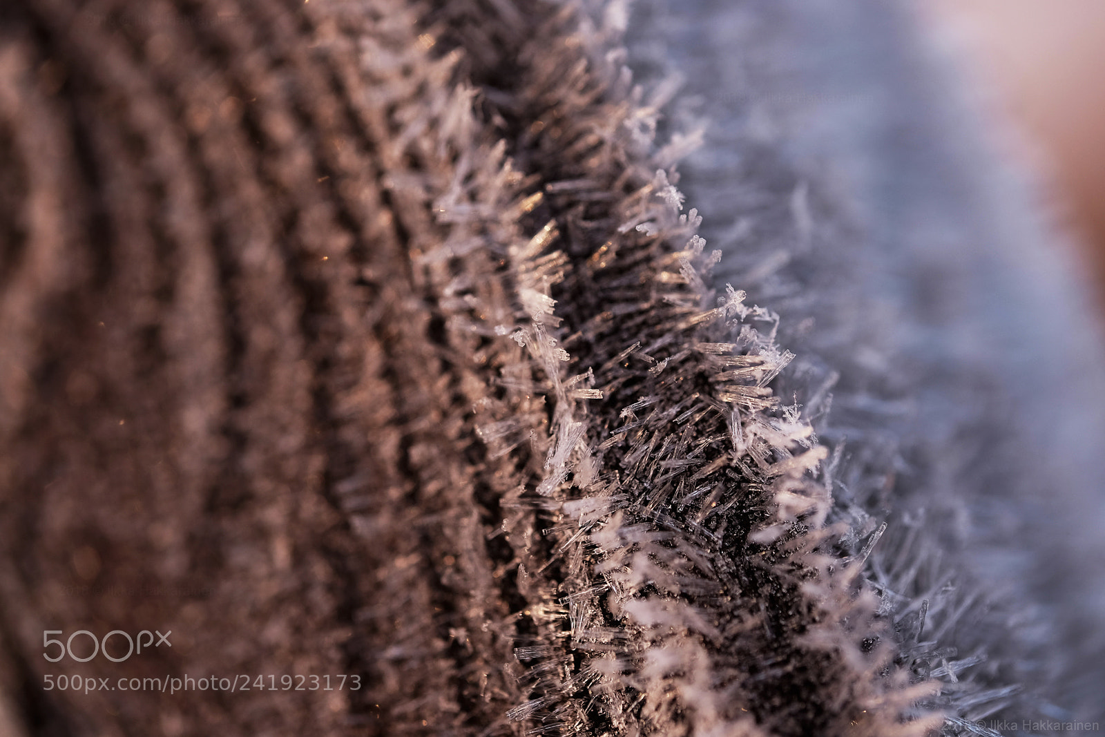 Fujifilm X-T1 sample photo. Frost photography