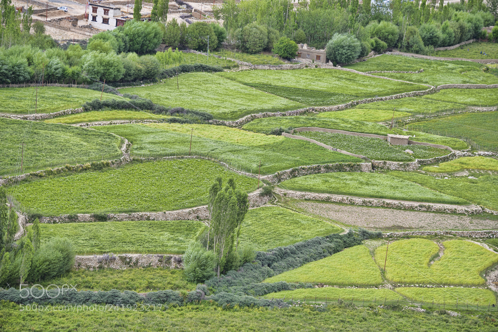 Nikon D810 sample photo. Green fields near chemrey photography