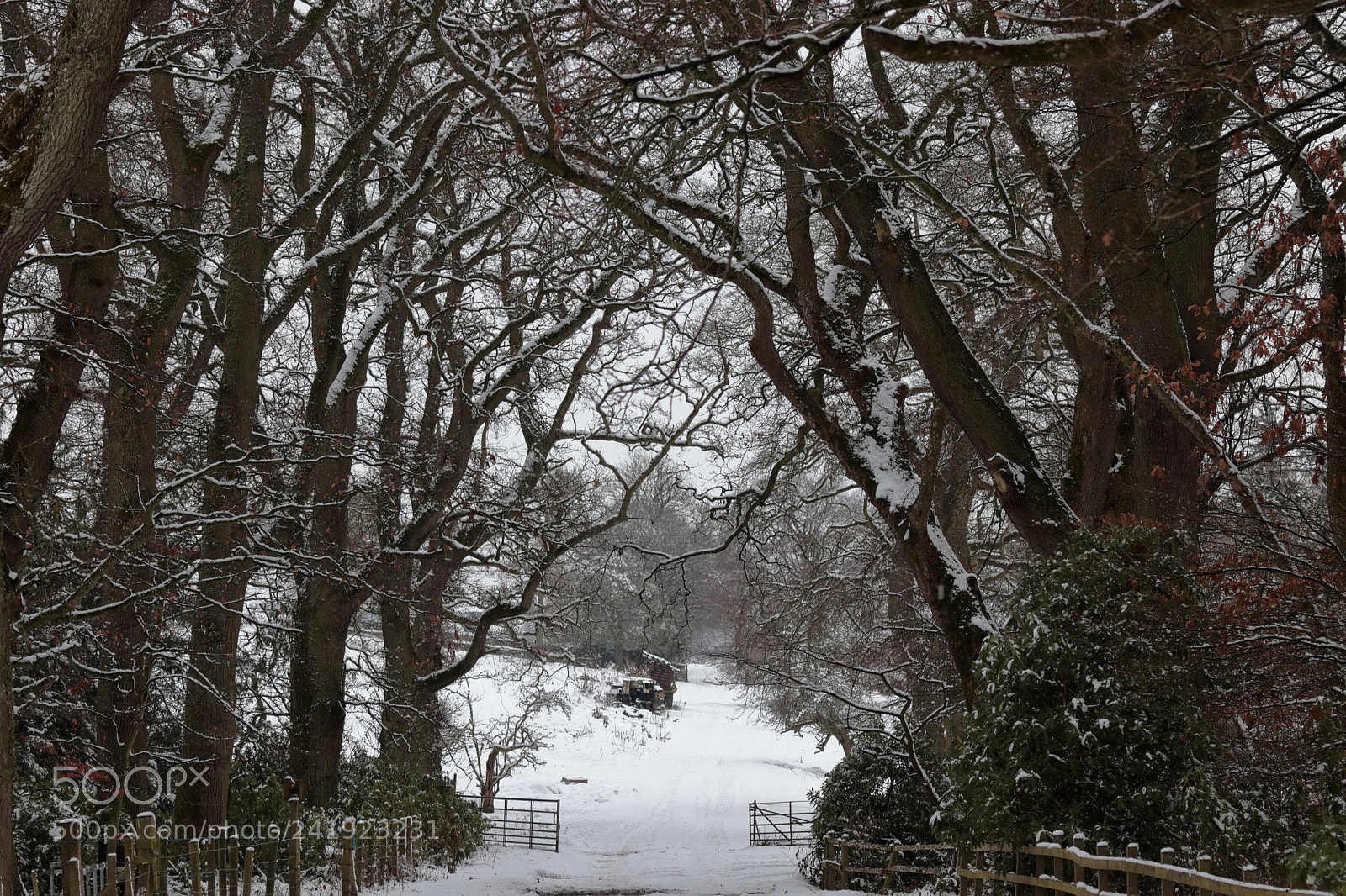 Canon EOS 800D (EOS Rebel T7i / EOS Kiss X9i) sample photo. Snow photography