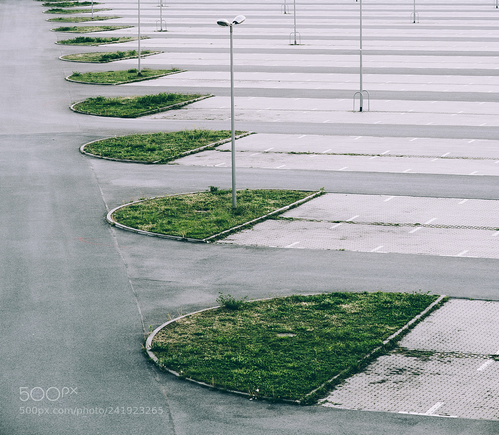 Nikon Df sample photo. Parking symmetry photography