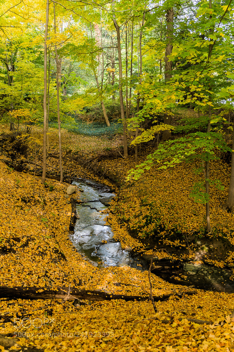 Sony Alpha NEX-6 sample photo. A quiet spot photography