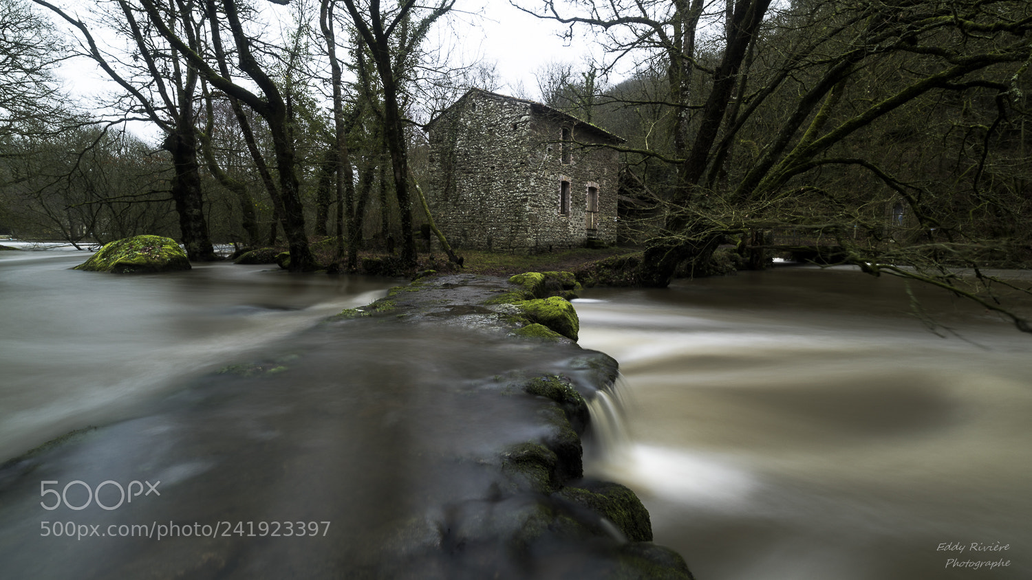 Nikon D810 sample photo. Moulin d'etourneau photography
