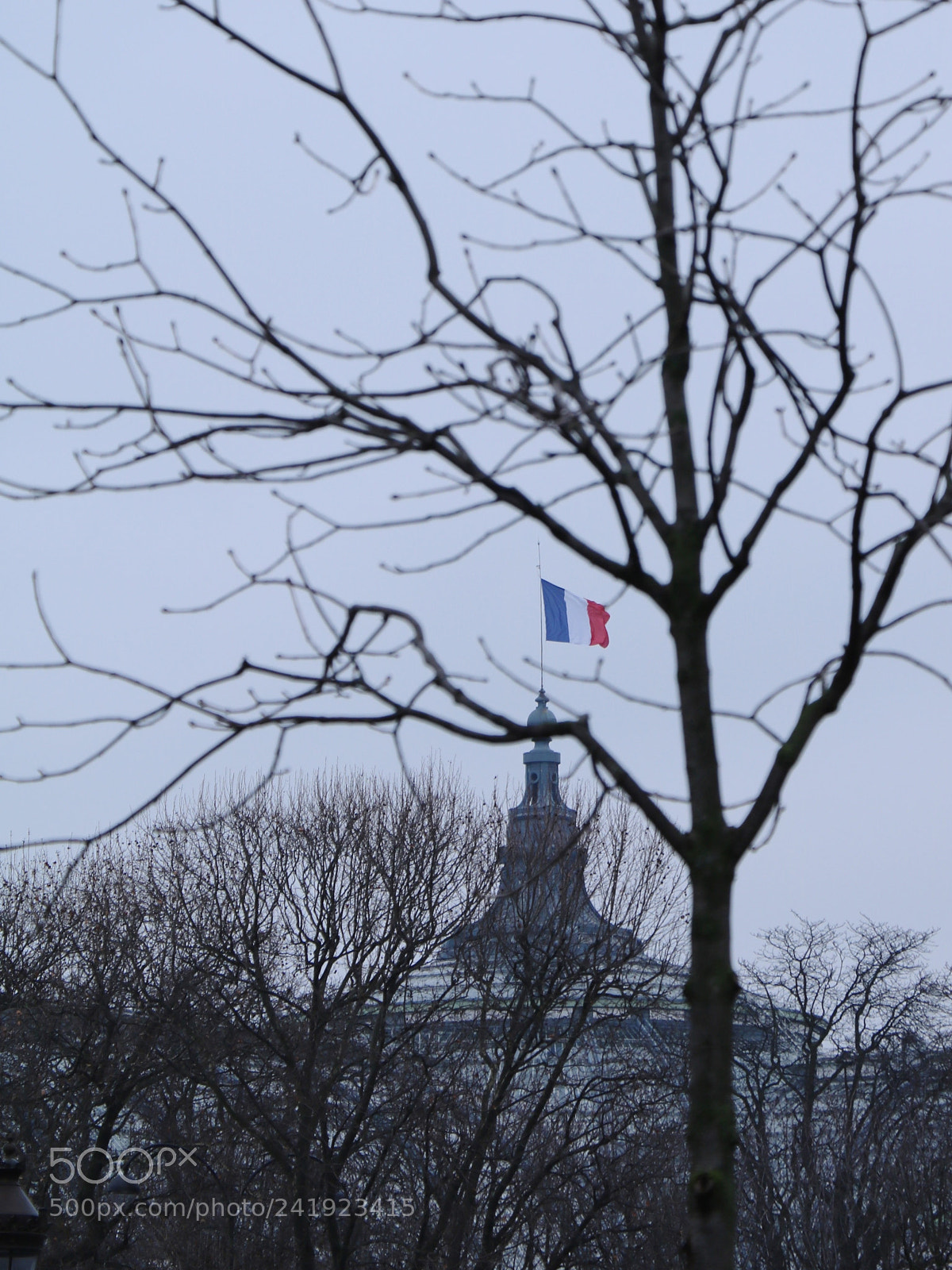 Canon EOS 750D (EOS Rebel T6i / EOS Kiss X8i) sample photo. The paris grand palais photography