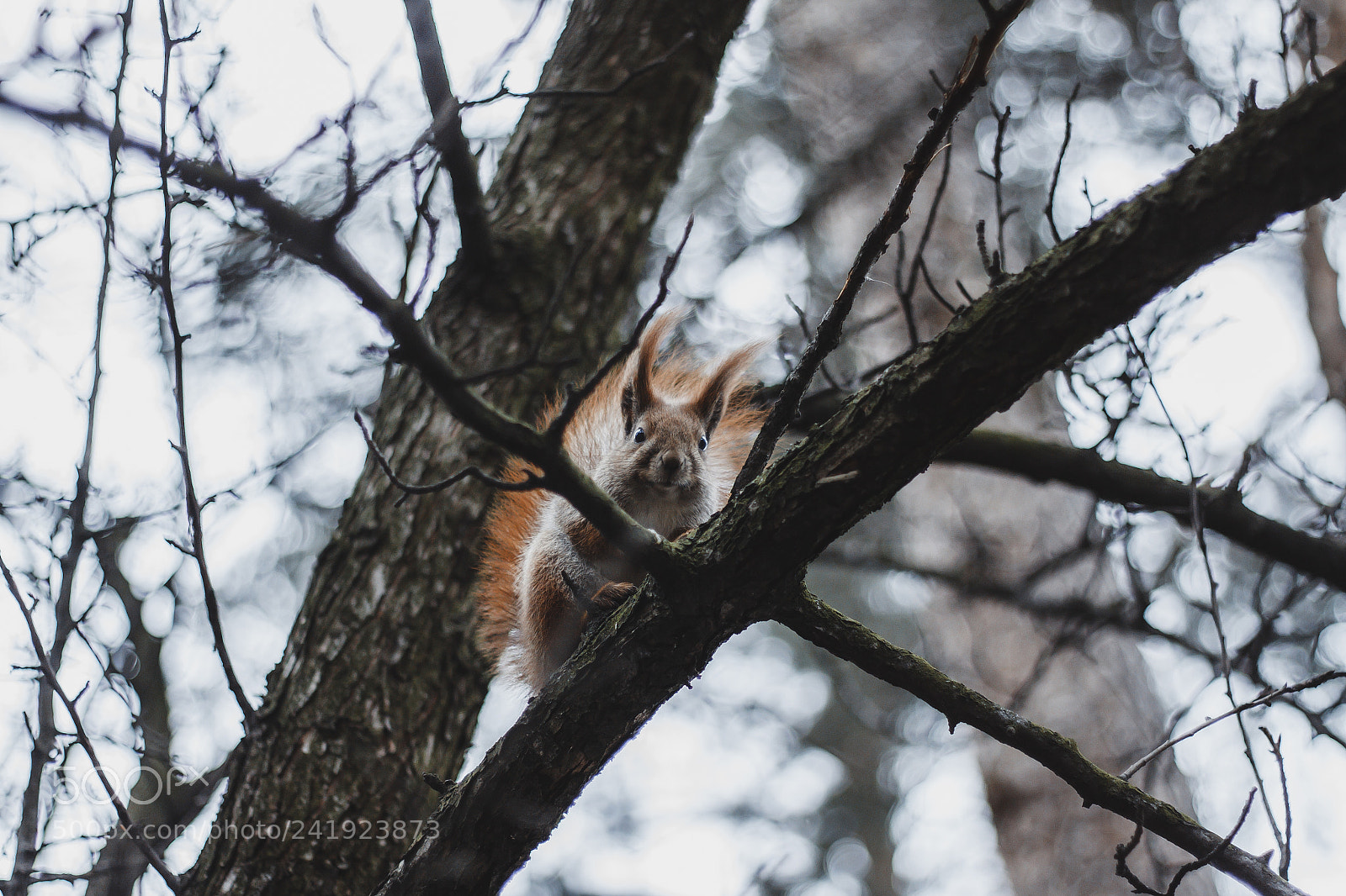 Canon EOS 50D sample photo. Untitled photography