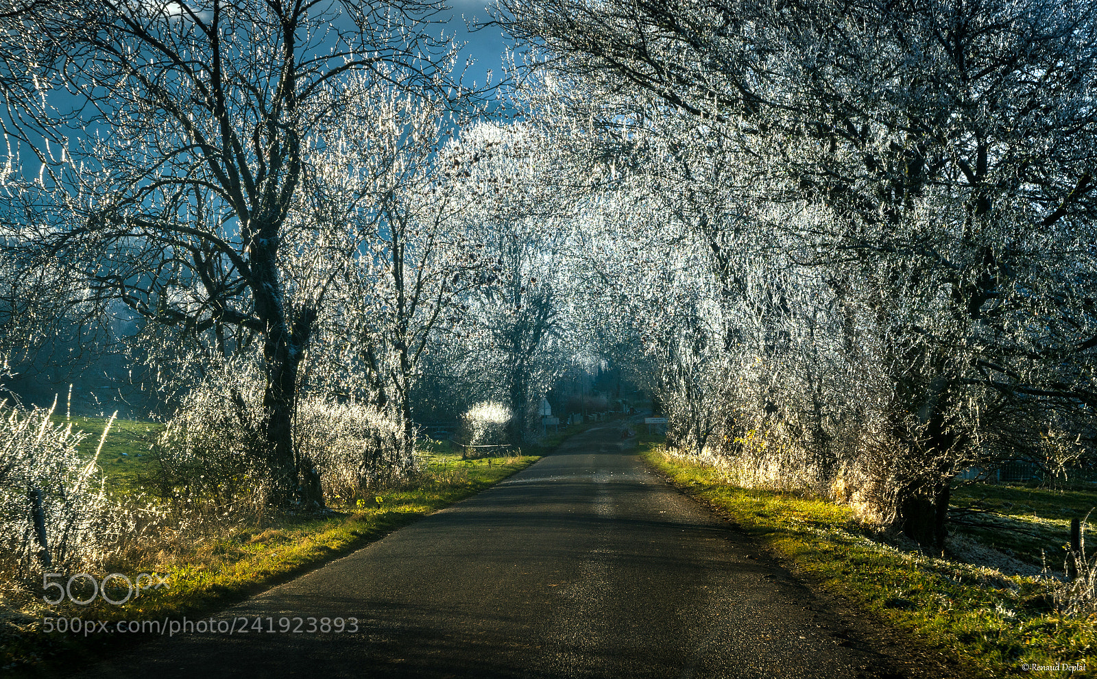 Nikon D7100 sample photo. Givre... photography