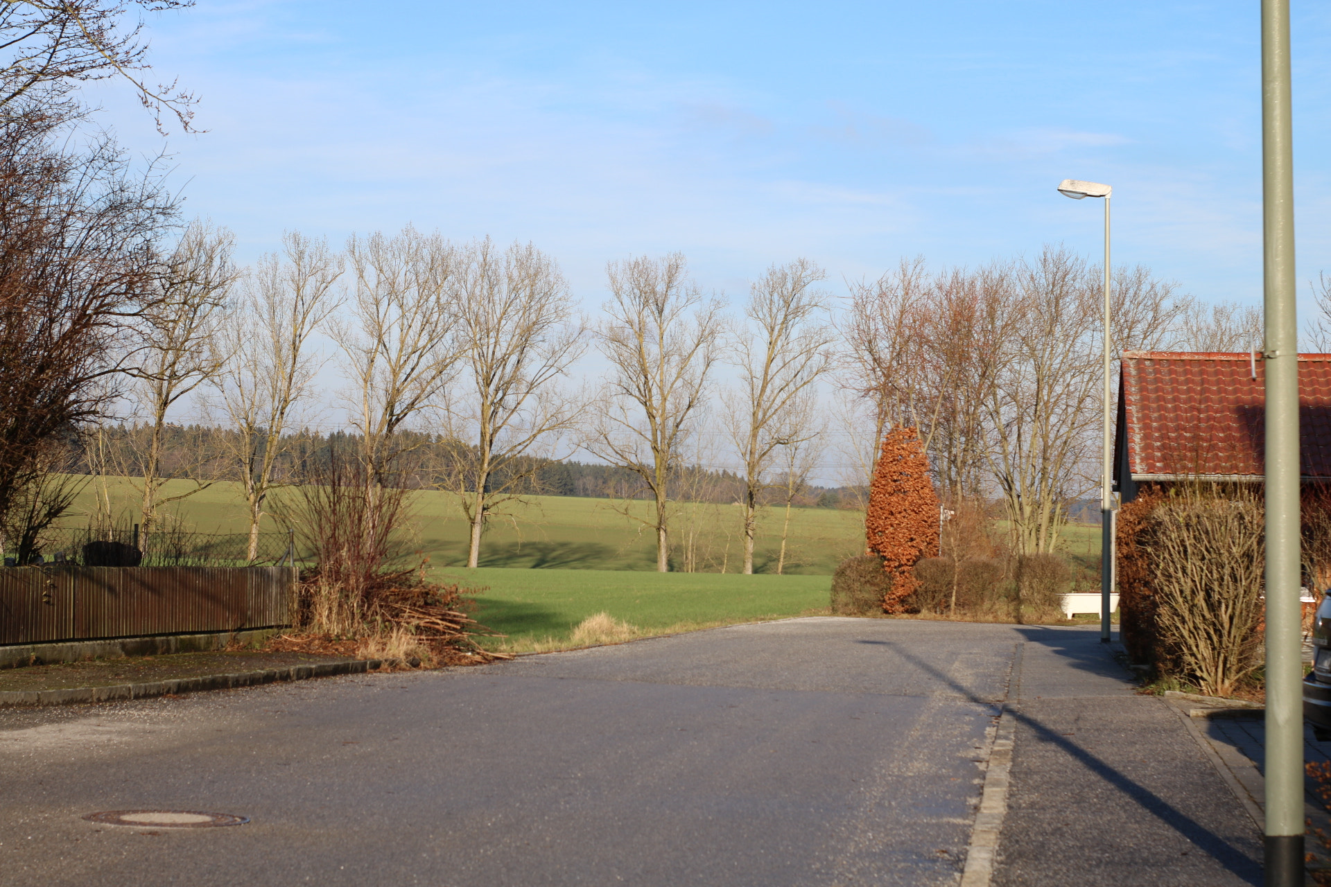 Canon 50mm sample photo. Landscape next to the green place photography