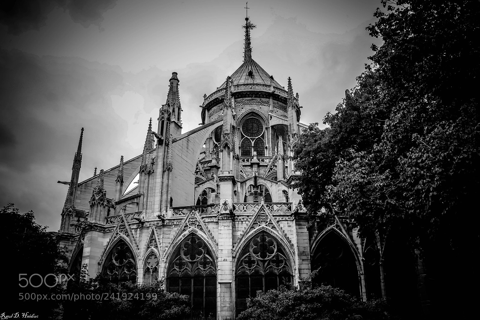 Canon EOS 550D (EOS Rebel T2i / EOS Kiss X4) sample photo. Notre dame photography