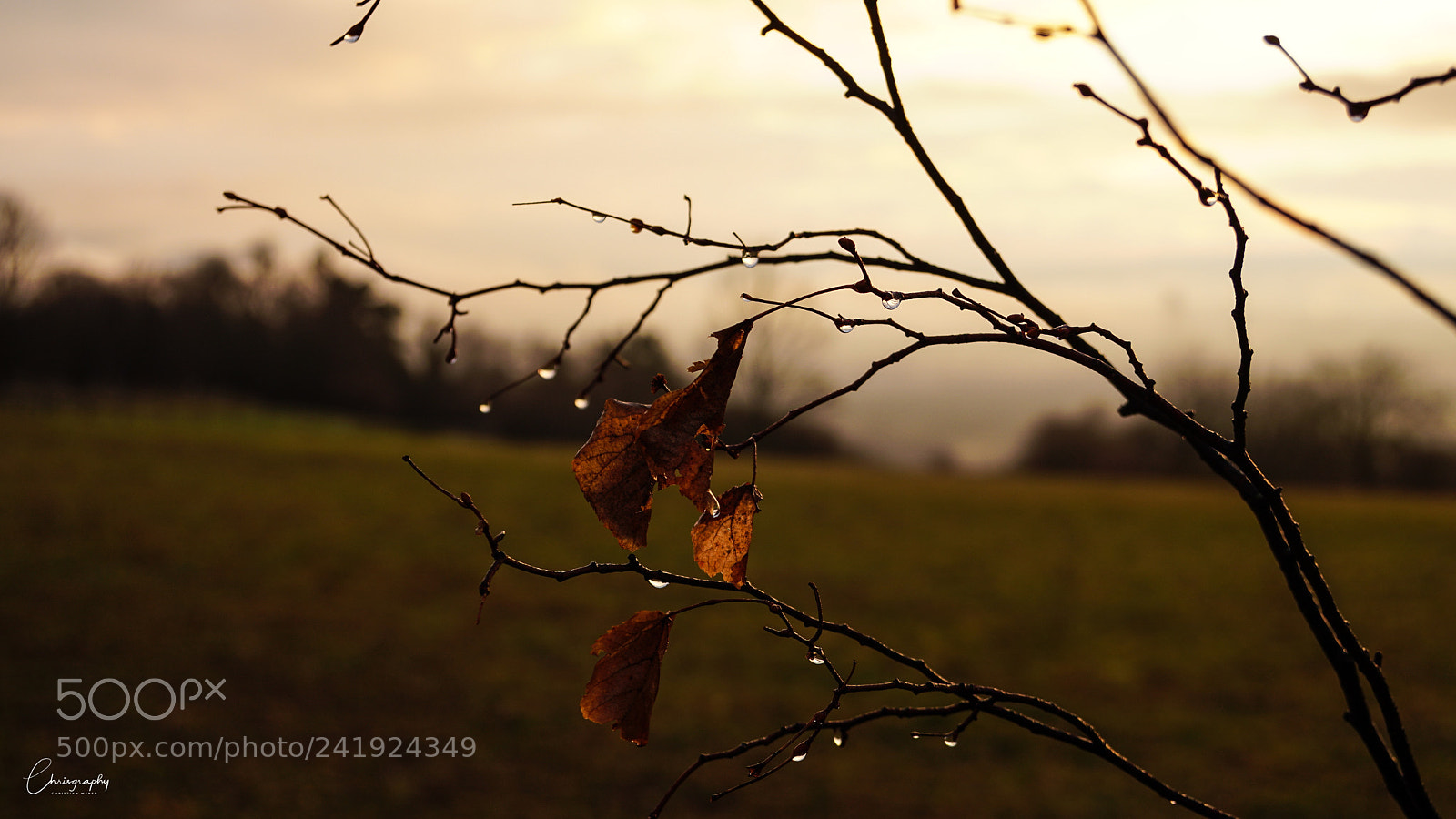 Sony a6500 sample photo. Tropfen photography