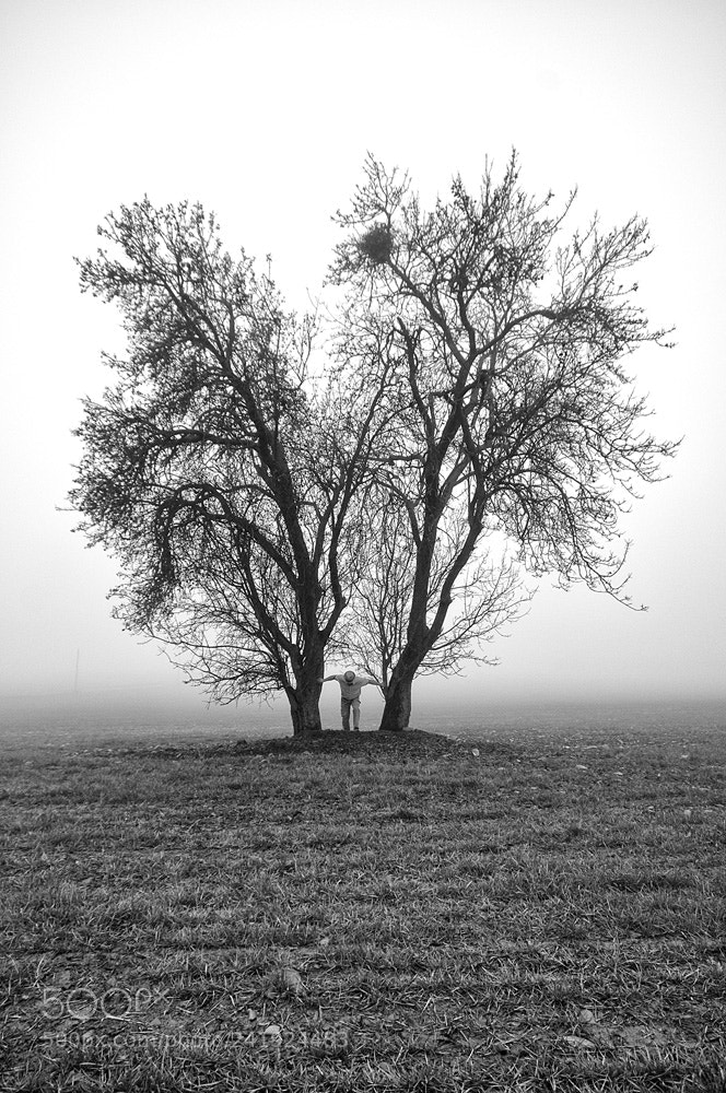 Nikon D300 sample photo. Division photography