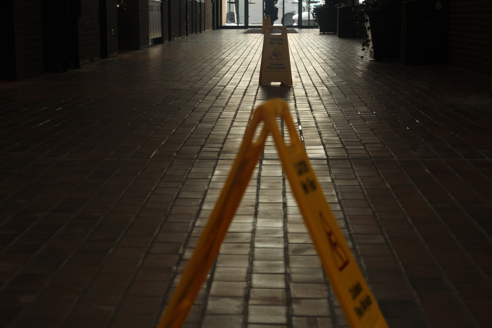 Canon EOS 1200D (EOS Rebel T5 / EOS Kiss X70 / EOS Hi) sample photo. This floor is actually dry. photography