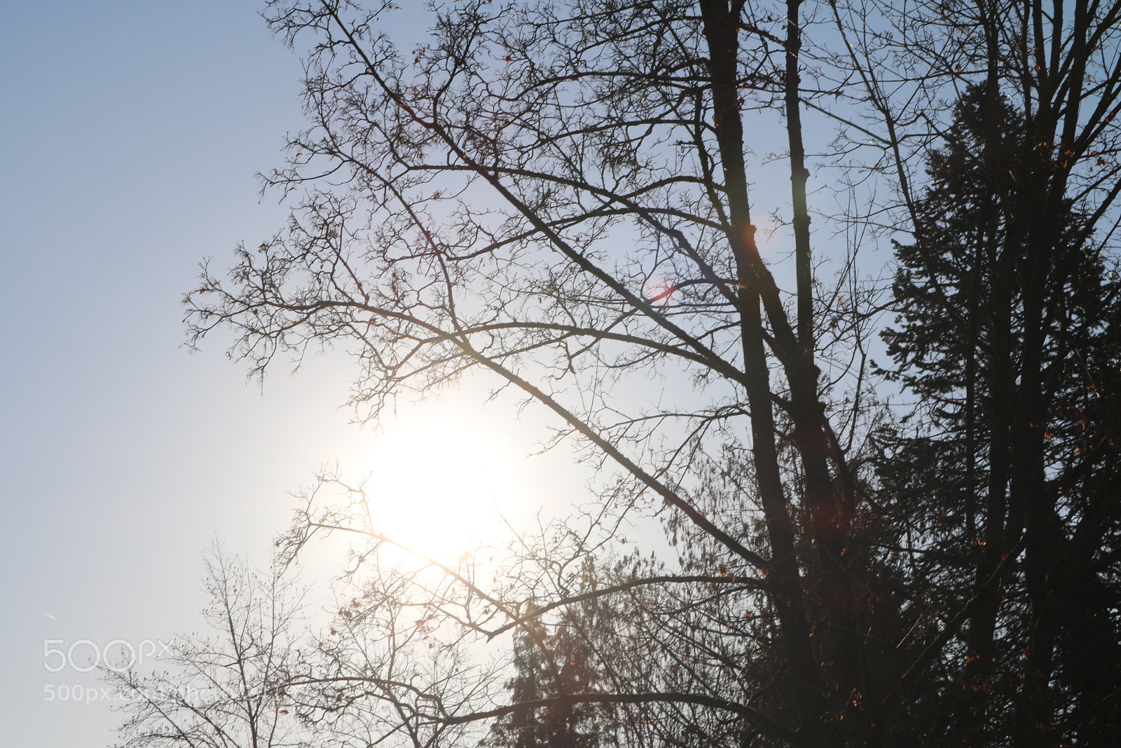 Canon EOS 750D (EOS Rebel T6i / EOS Kiss X8i) sample photo. To the sun photography