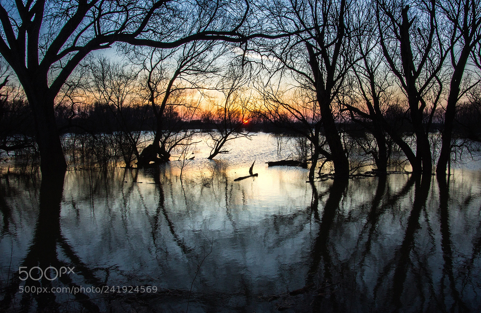 Canon EOS 1200D (EOS Rebel T5 / EOS Kiss X70 / EOS Hi) sample photo. Flooded plains photography