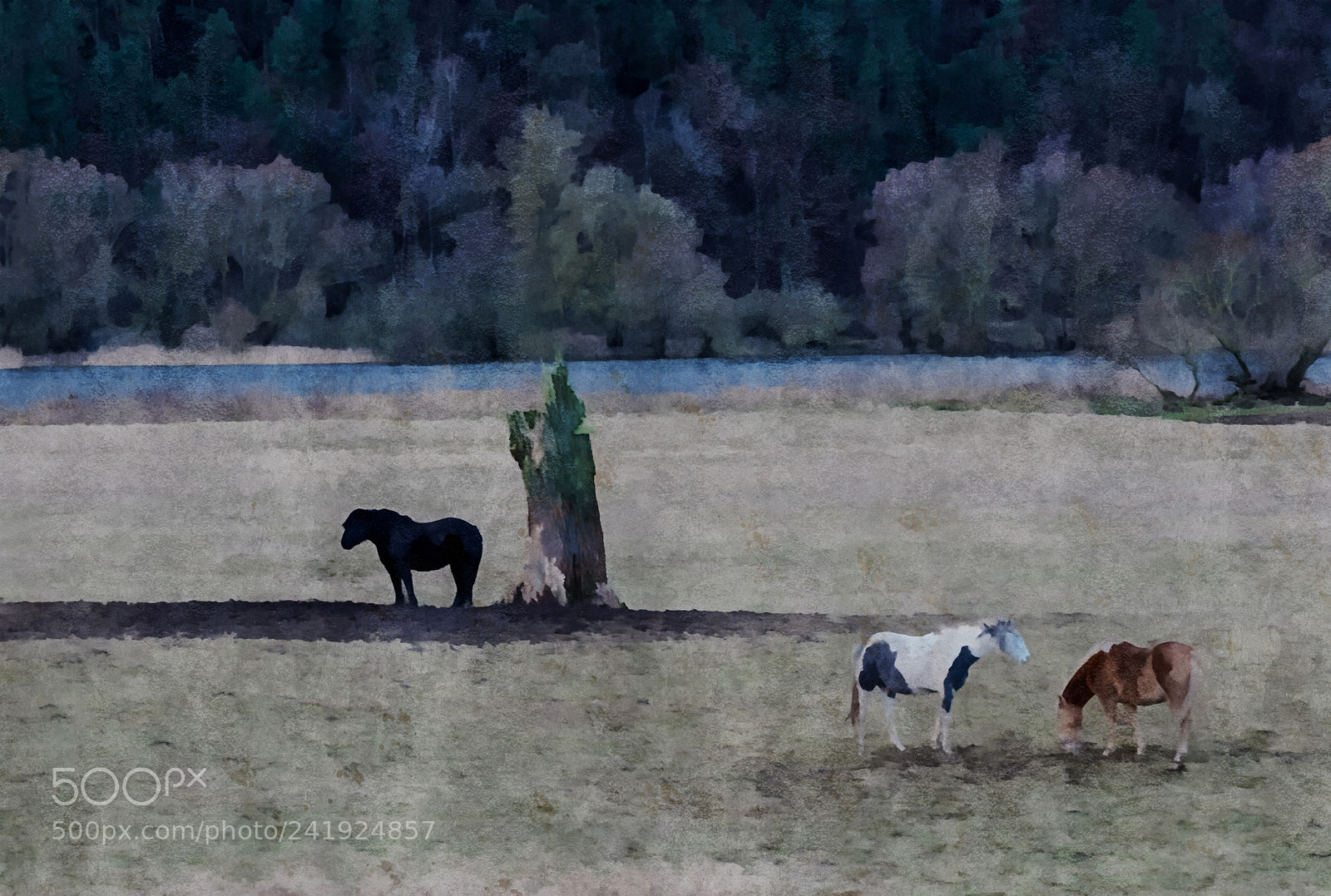 Nikon D7100 sample photo. Outcast photography