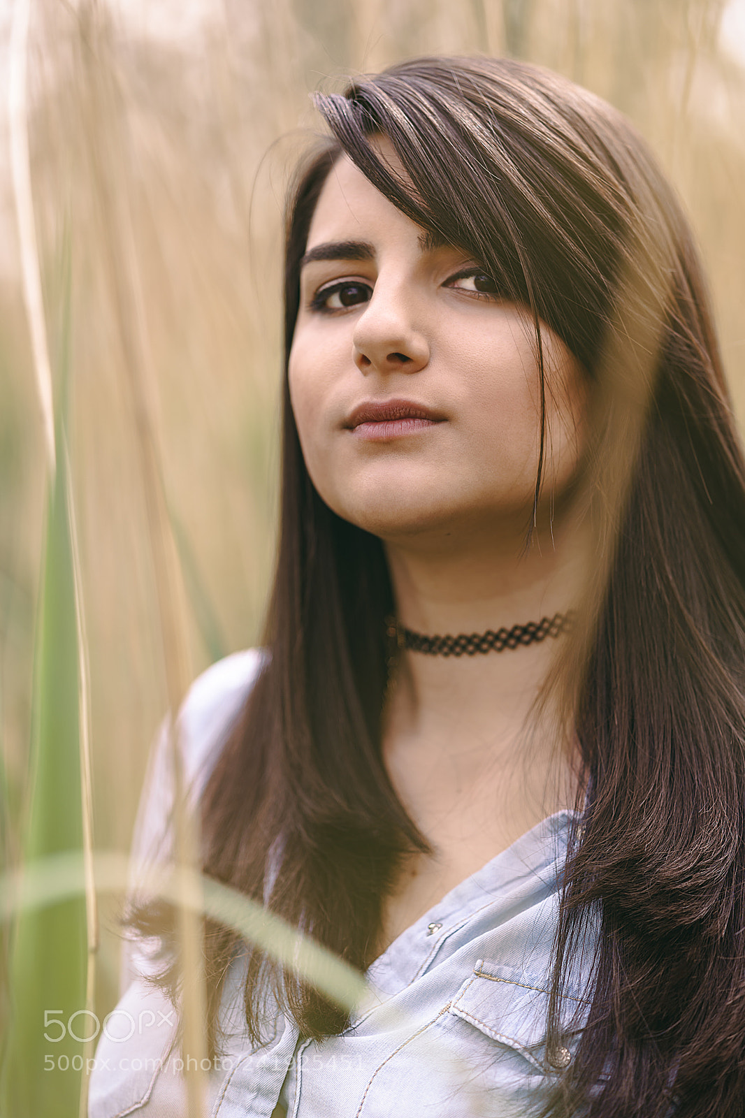 Sony a7 II sample photo. Simple things photography