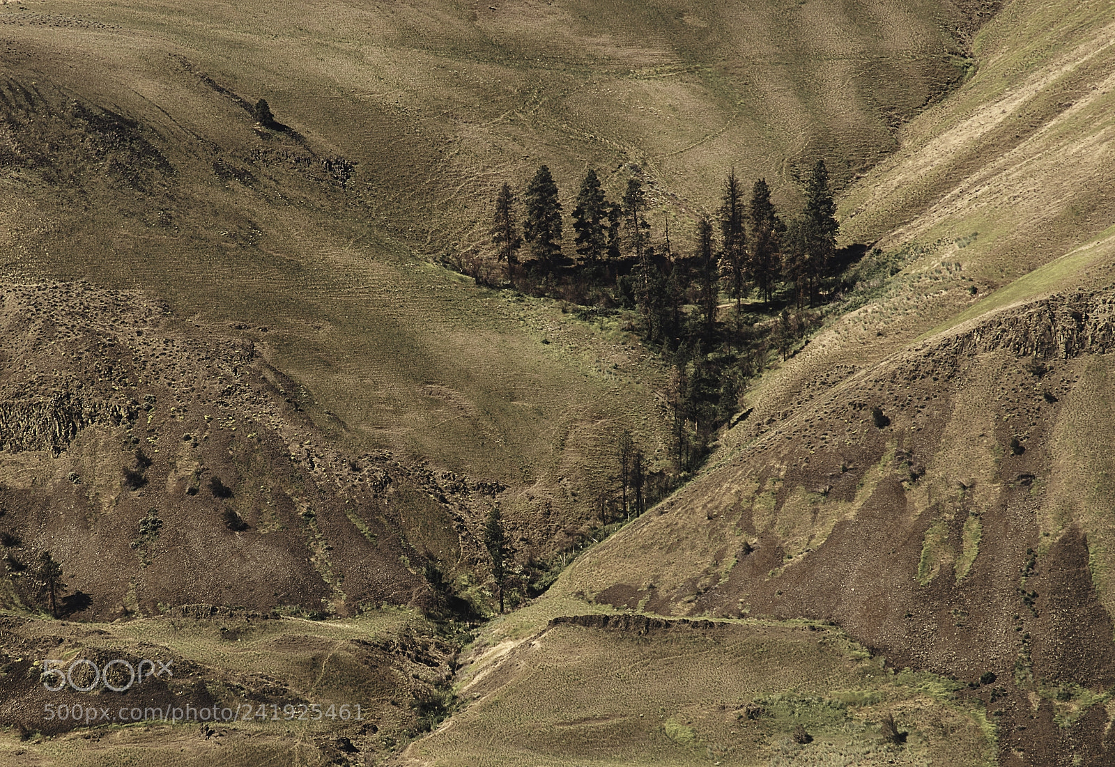 Sony a7R sample photo. Dry creek photography