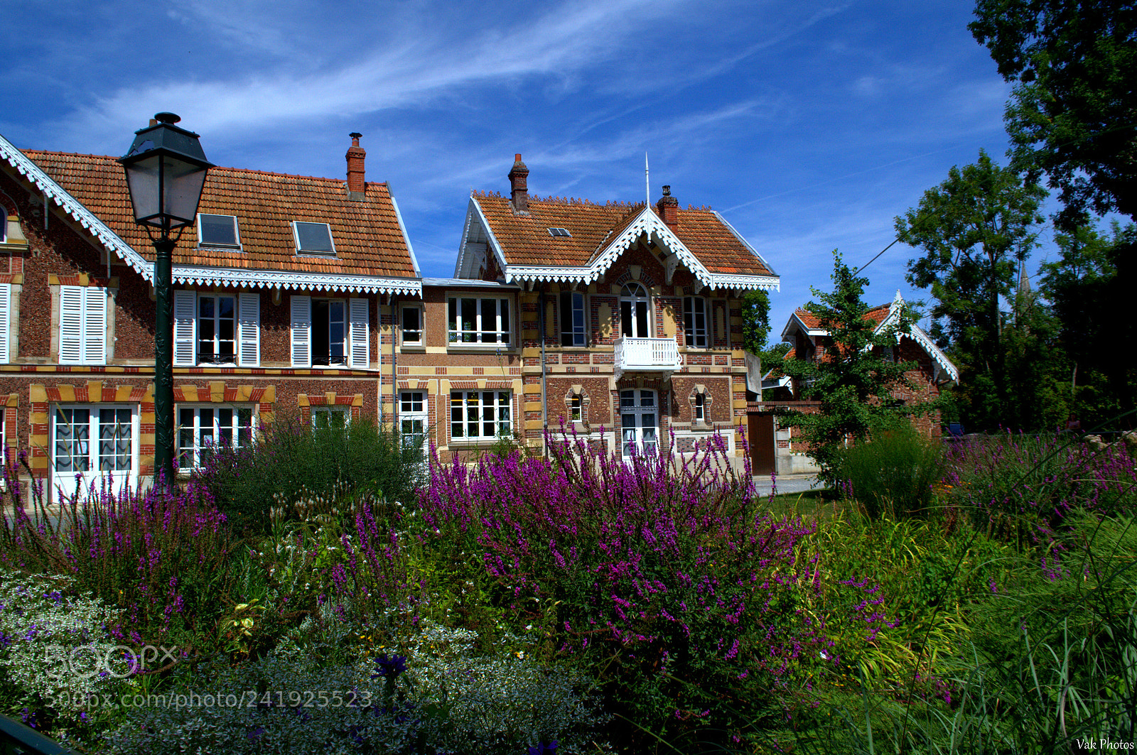 Nikon D3100 sample photo. Park in coulommiers, france photography