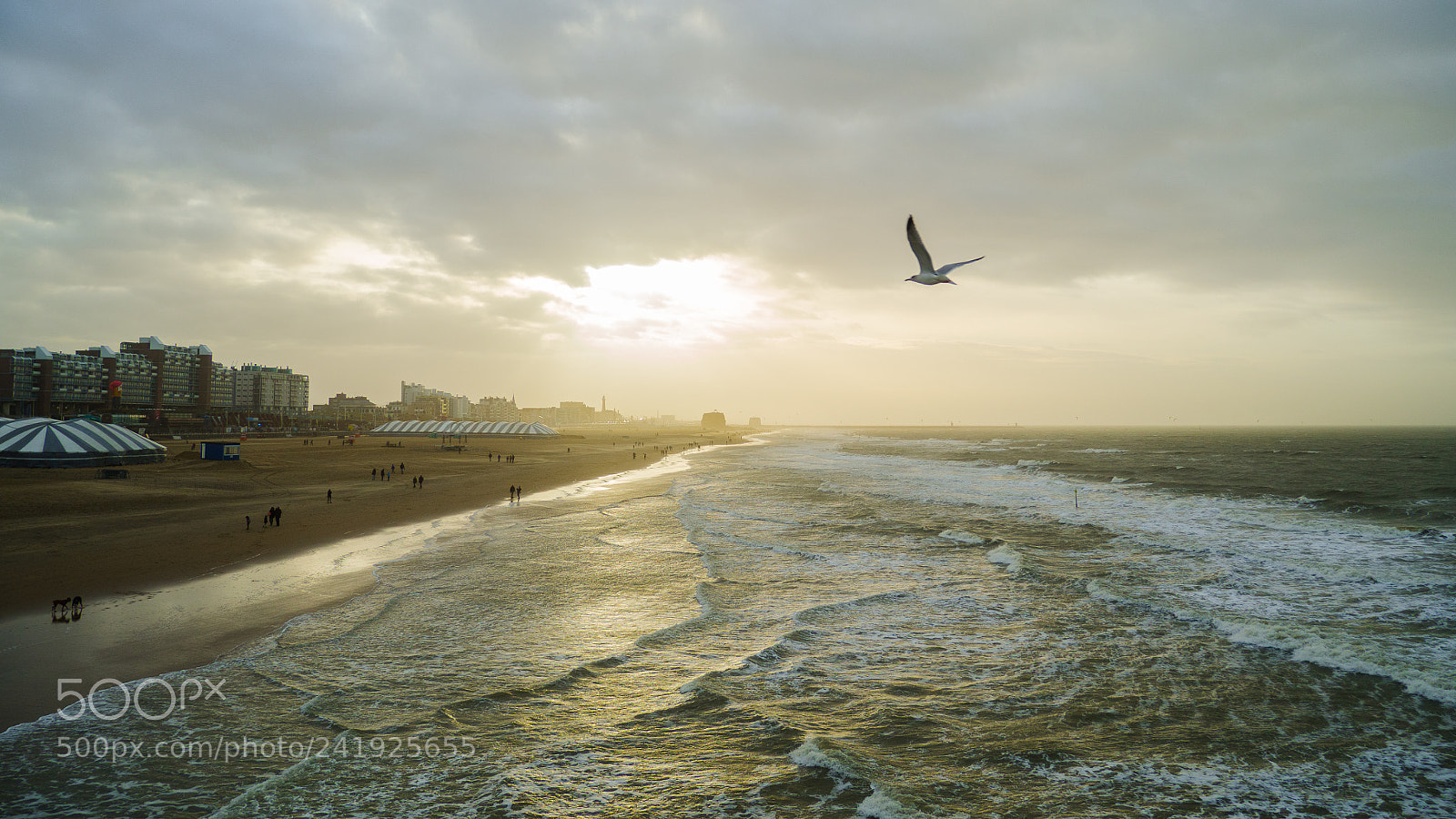 Olympus OM-D E-M10 II sample photo. A perfect beach day photography
