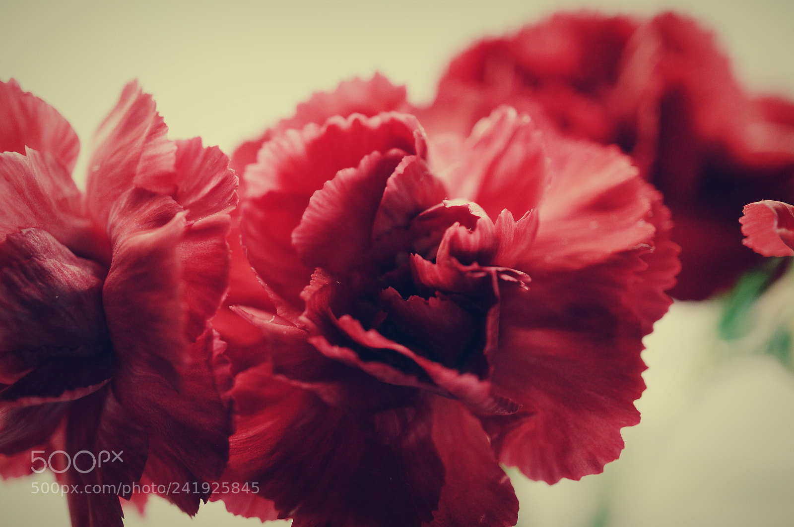 Sony Alpha NEX-5T sample photo. You photography
