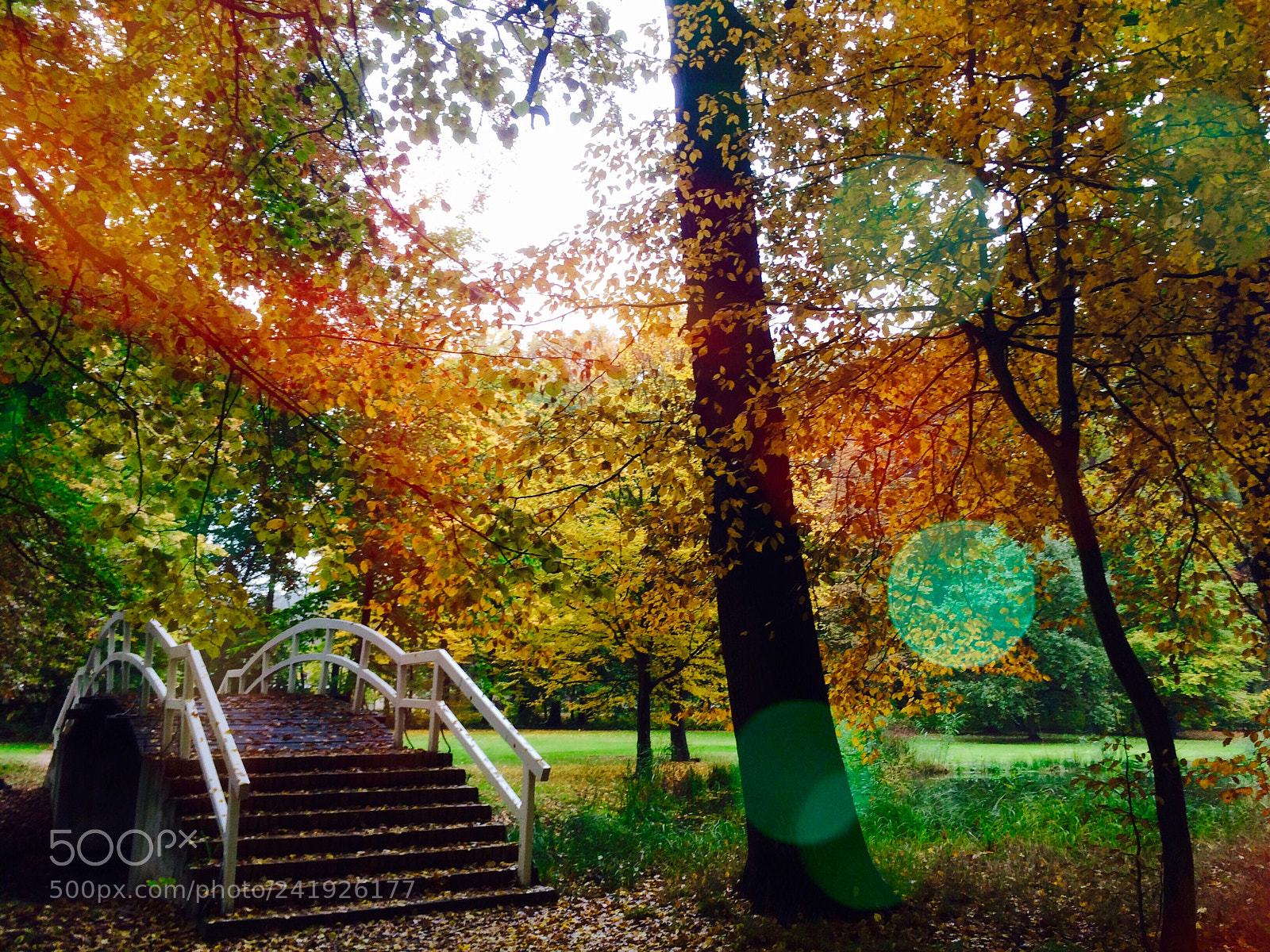 Apple iPhone 5s sample photo. Autumn memories photography
