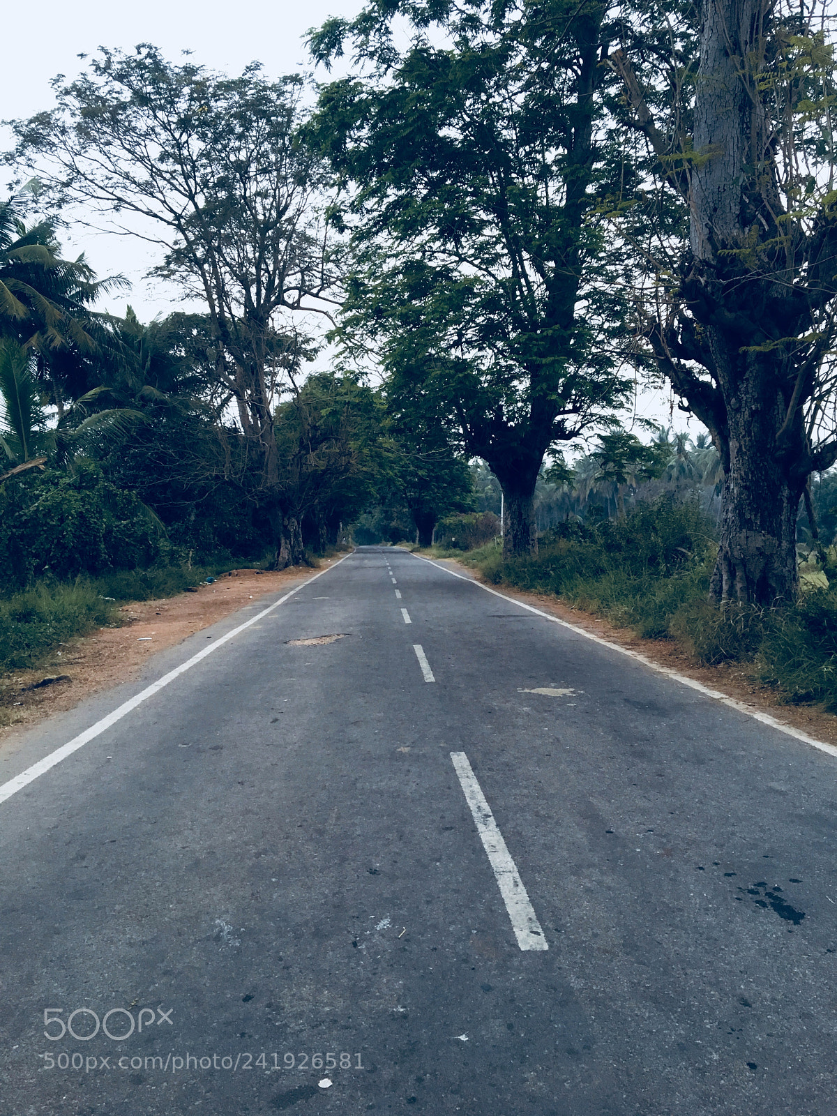 Apple iPhone 6s sample photo. . photography