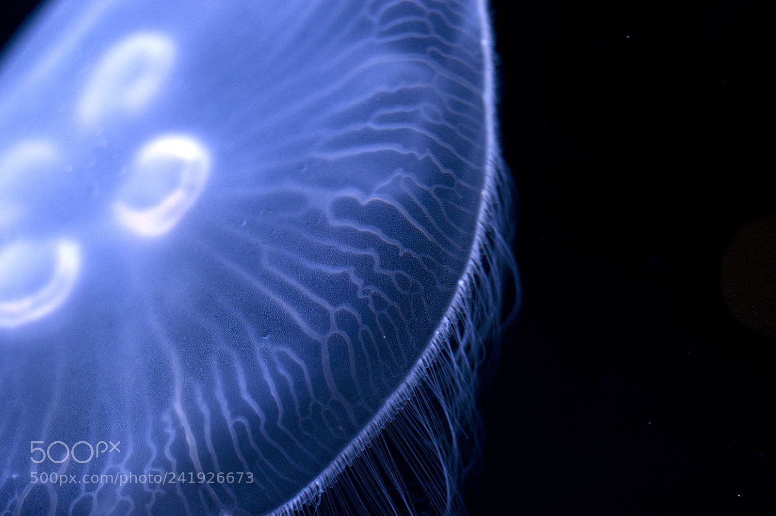 Pentax K-3 II sample photo. Ufo photography