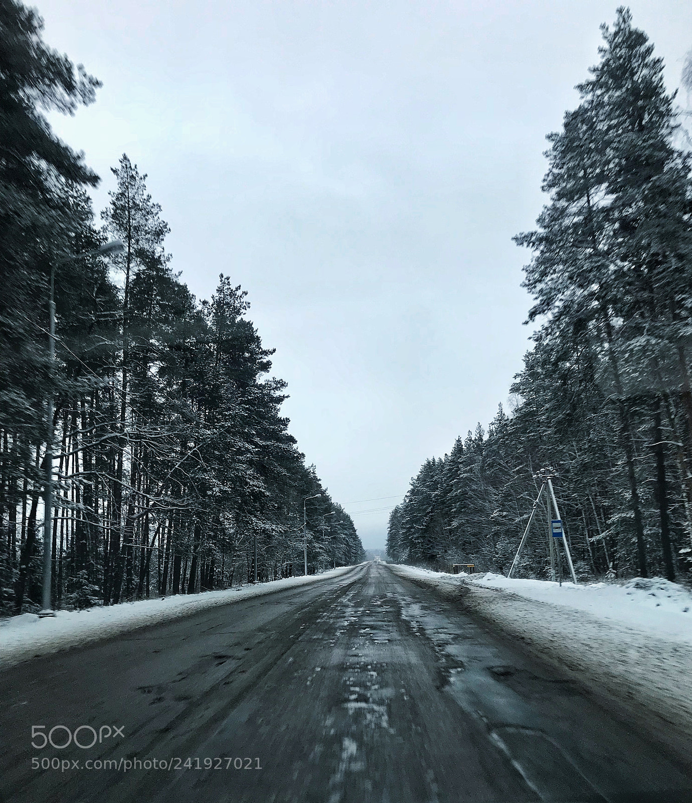 Apple iPhone 7 Plus sample photo. Лесная зимняя дорога photography