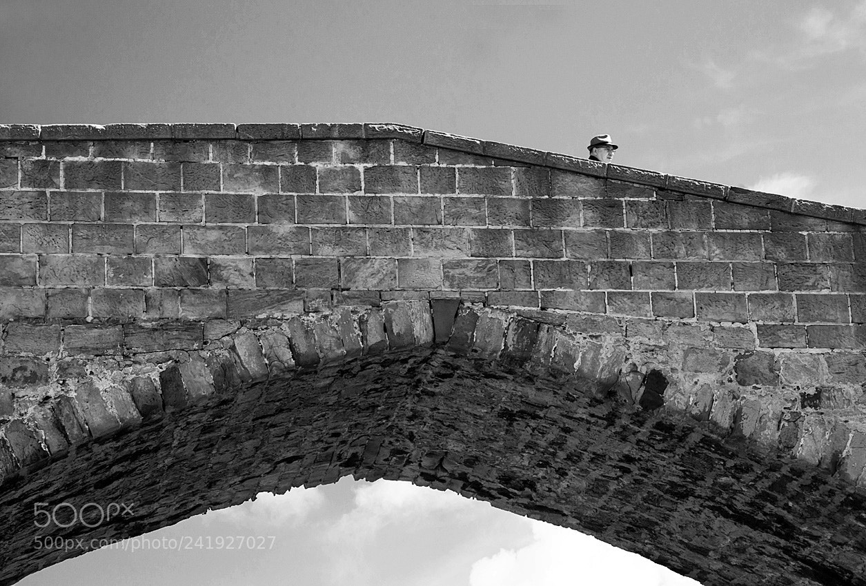 Nikon D800 sample photo. Over the bridge photography