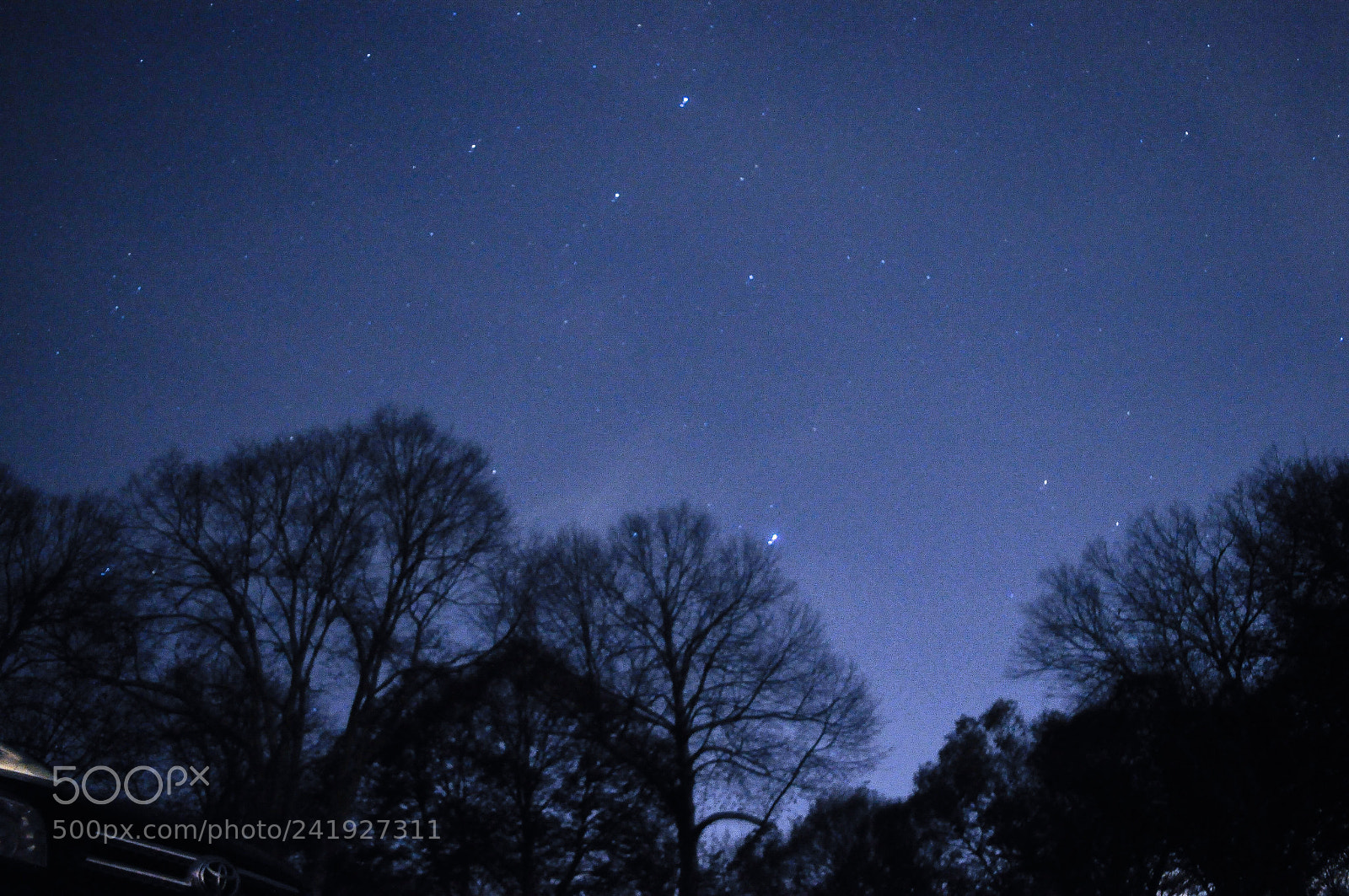 Nikon D90 sample photo. Img photography