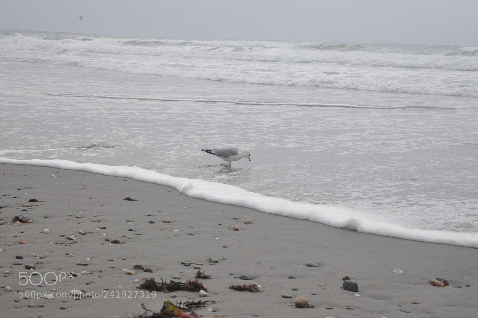 Nikon D90 sample photo. Img photography