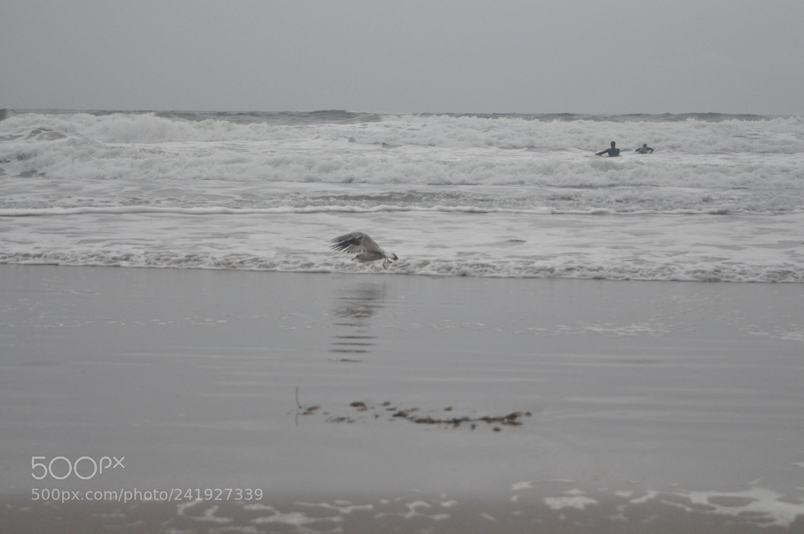 Nikon D90 sample photo. Img photography