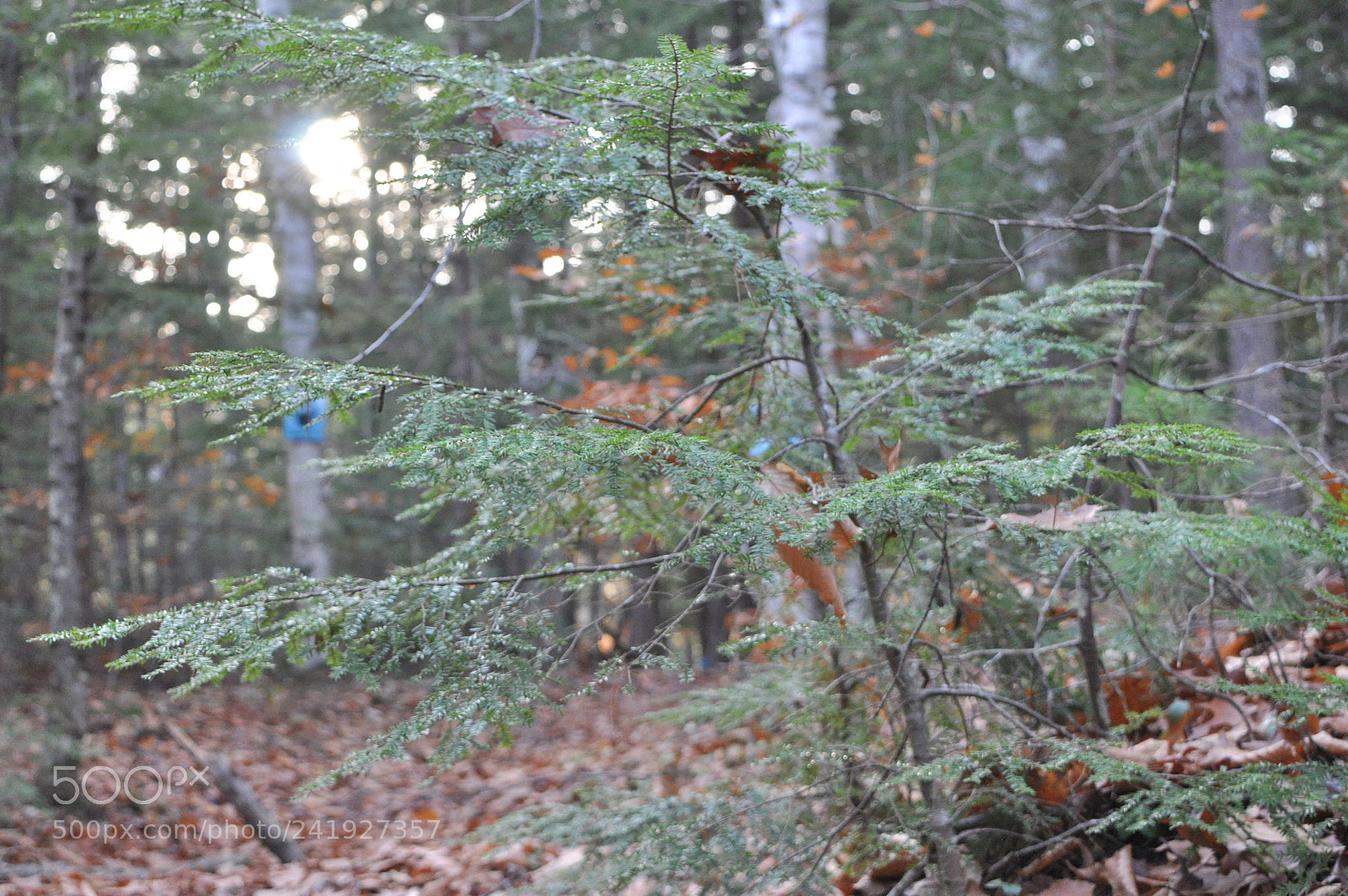 Nikon D90 sample photo. Img photography