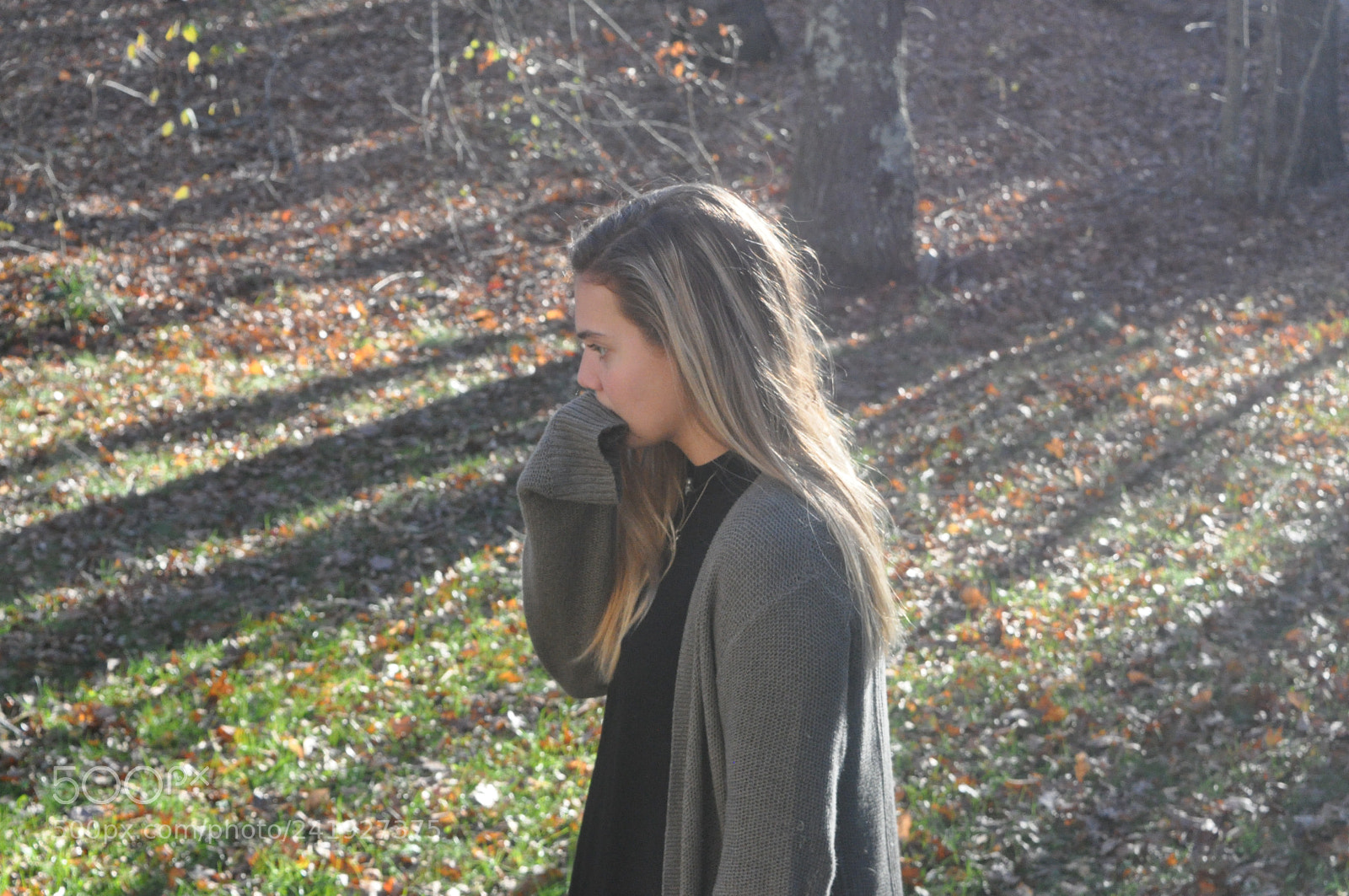 Nikon D90 sample photo. Img photography