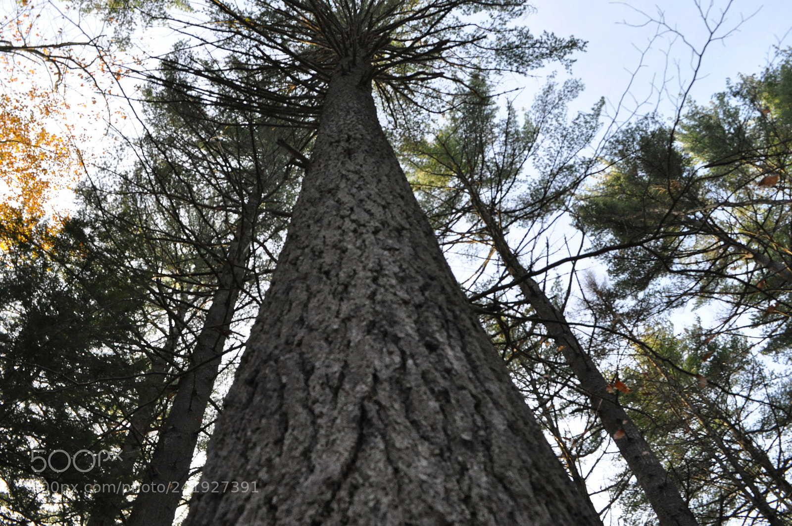 Nikon D90 sample photo. Img photography
