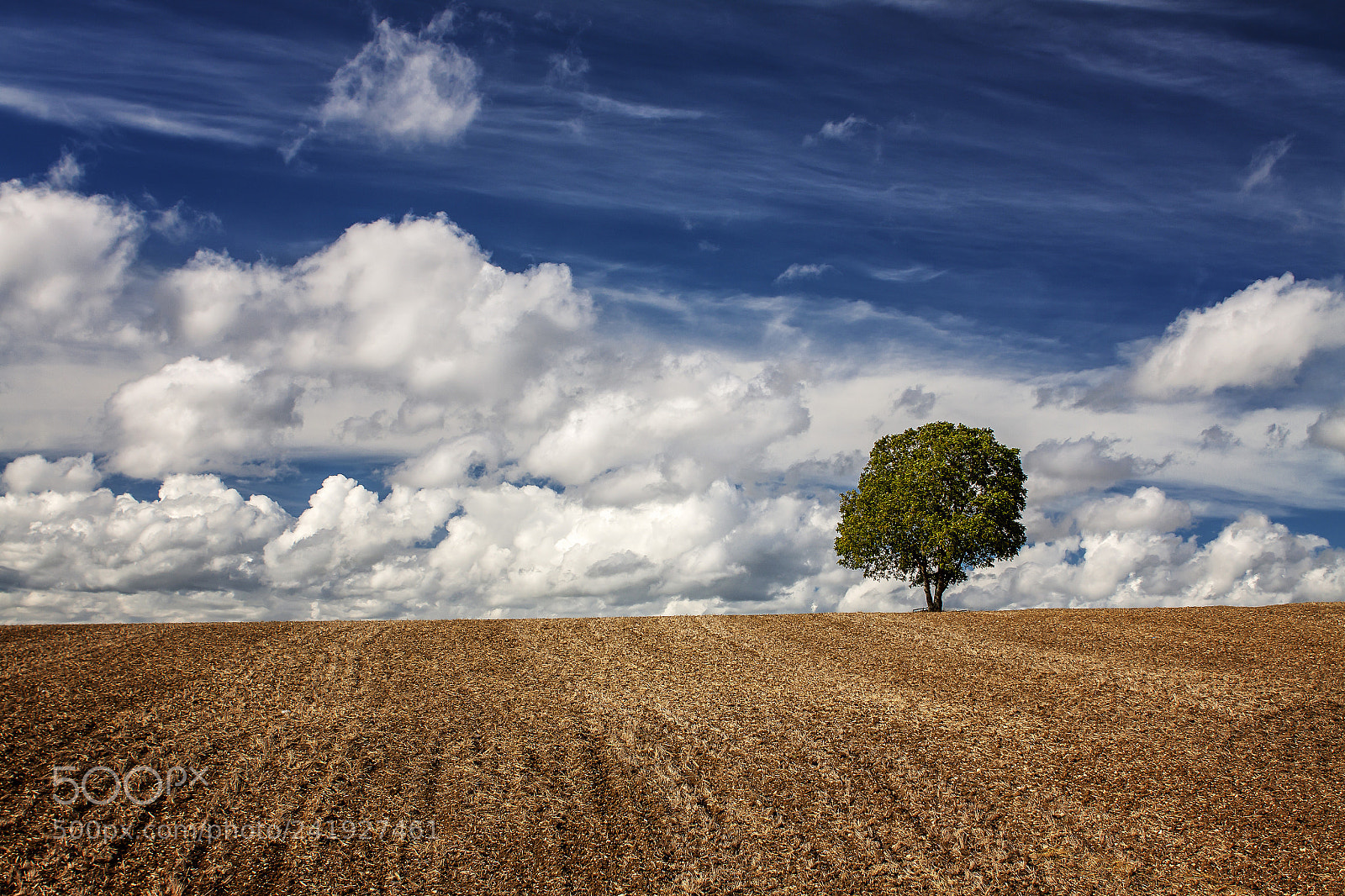 Canon EOS 50D sample photo. Dans les nuages photography